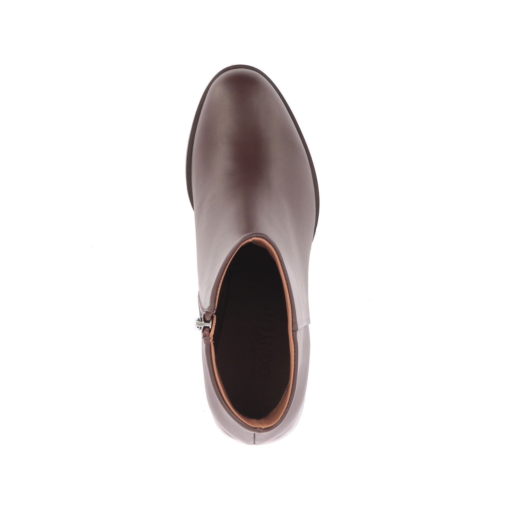 Atelier Content Farah 267779 bruin