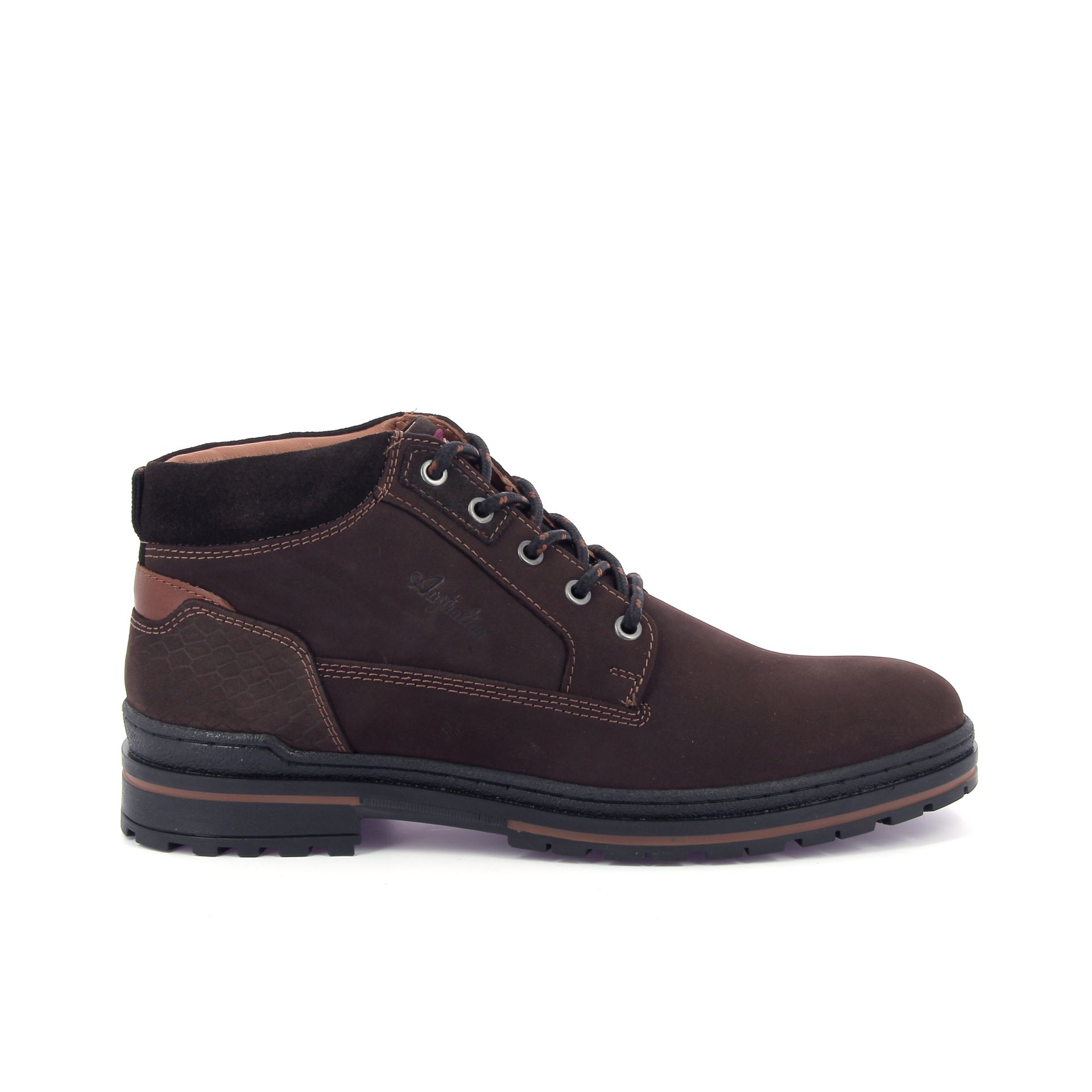 Australian Middelburg 267907 bruin