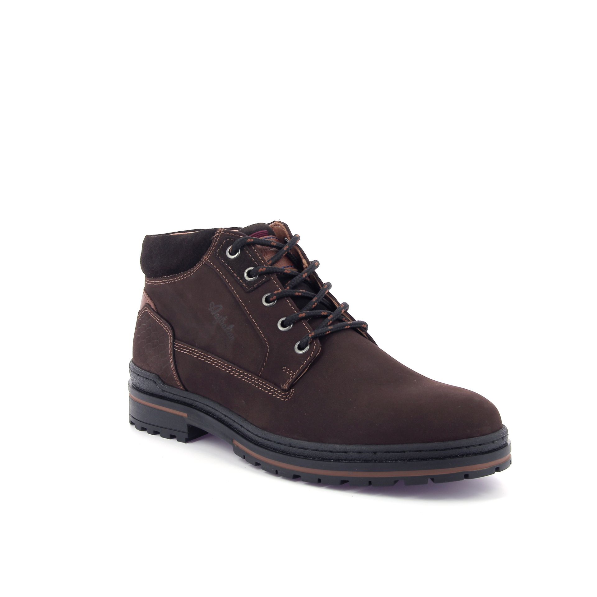 Australian Middelburg 267907 bruin