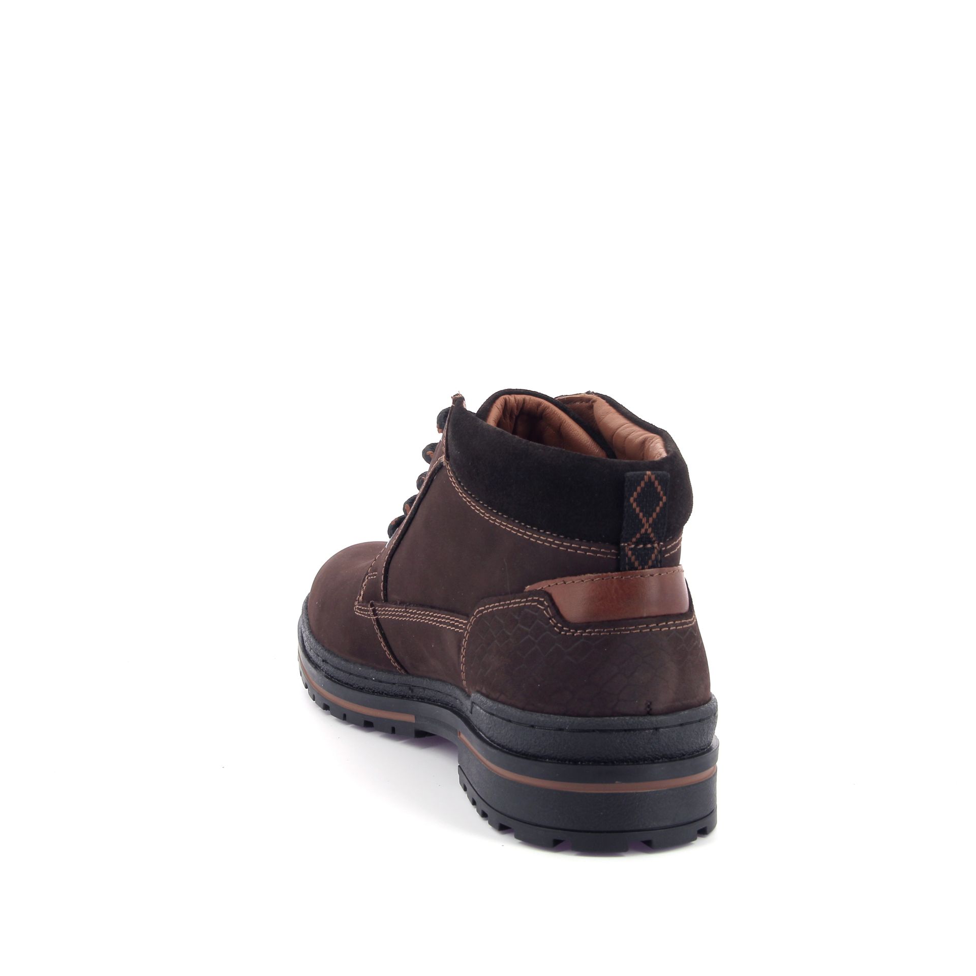 Australian Middelburg 267907 bruin