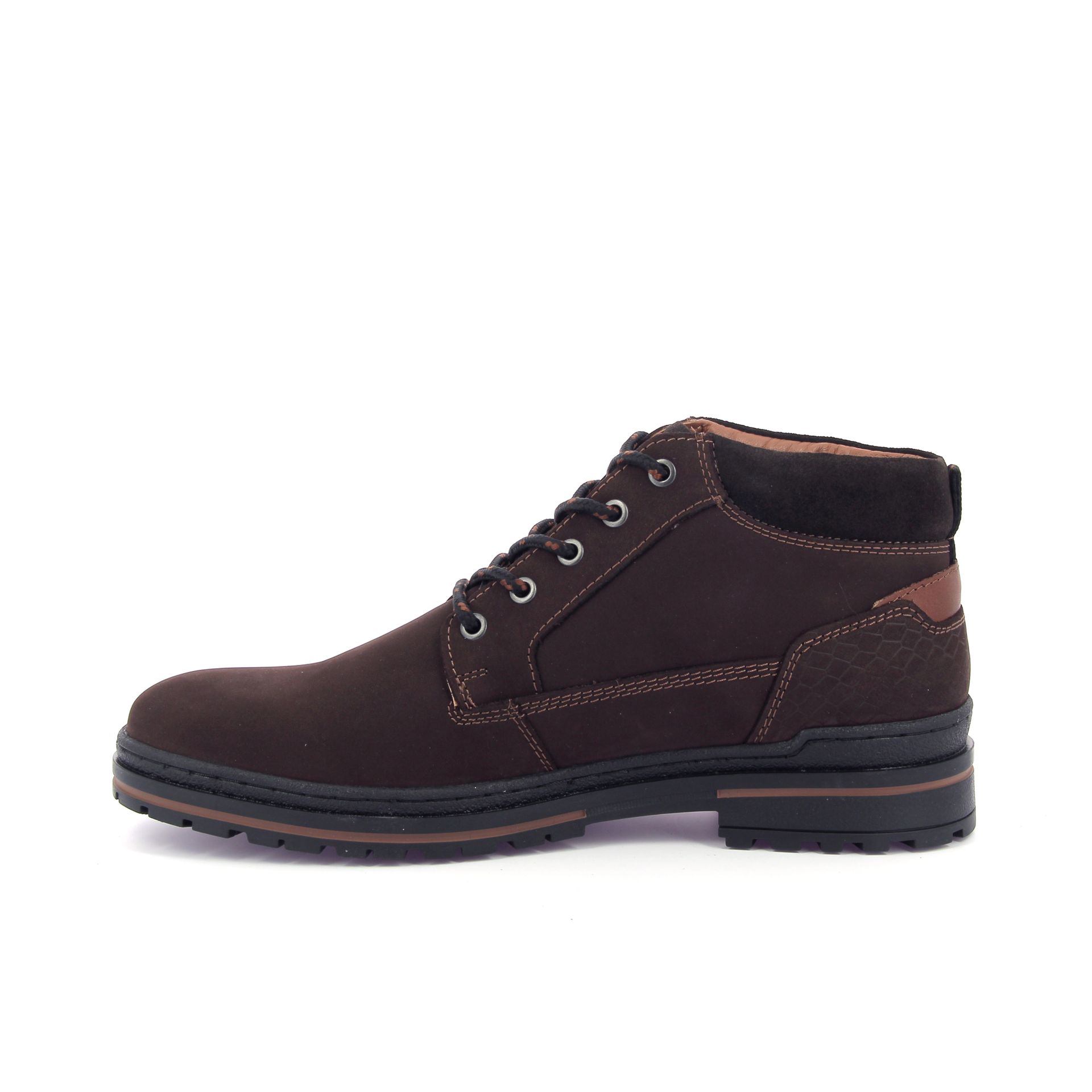 Australian Middelburg 267907 bruin