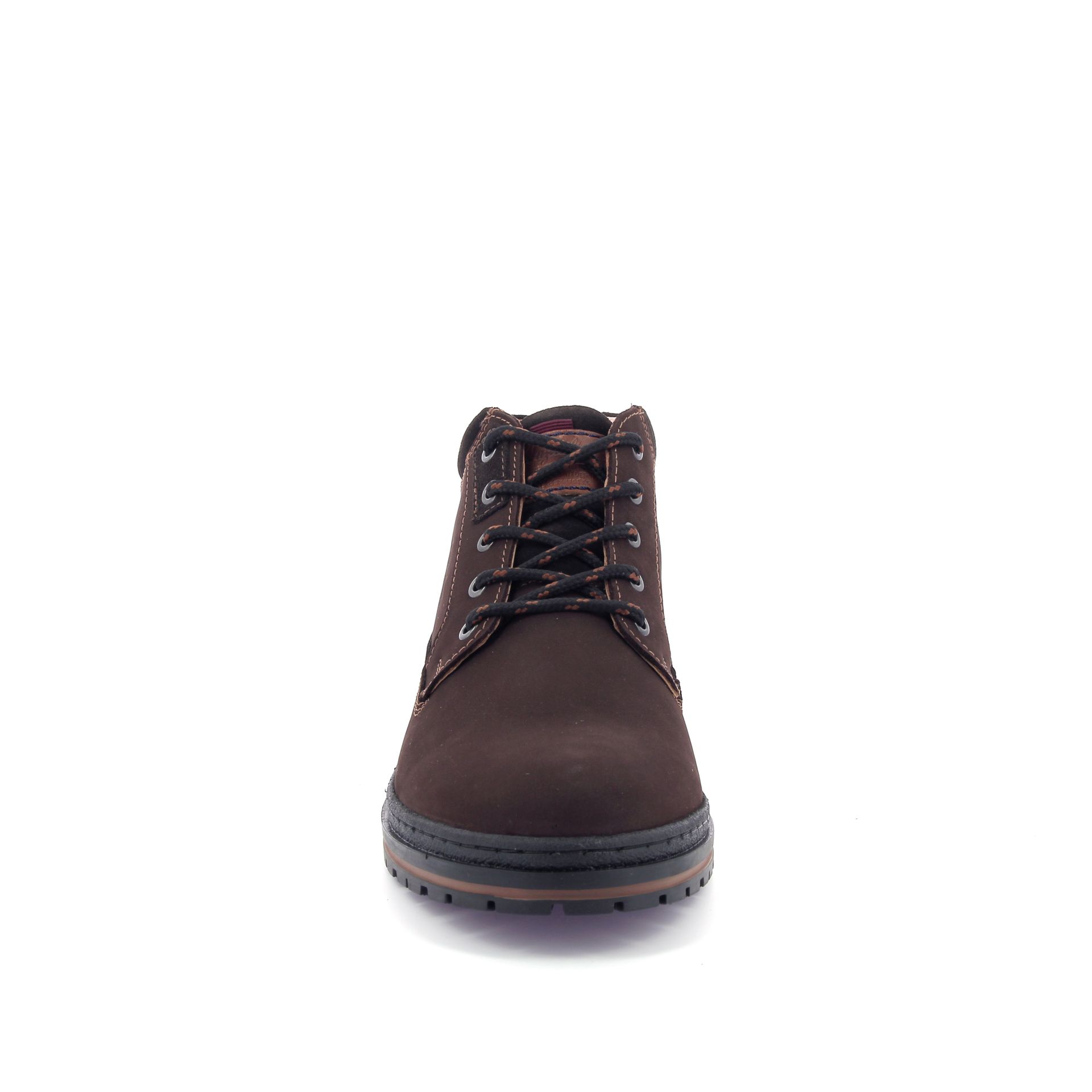 Australian Middelburg 267907 bruin