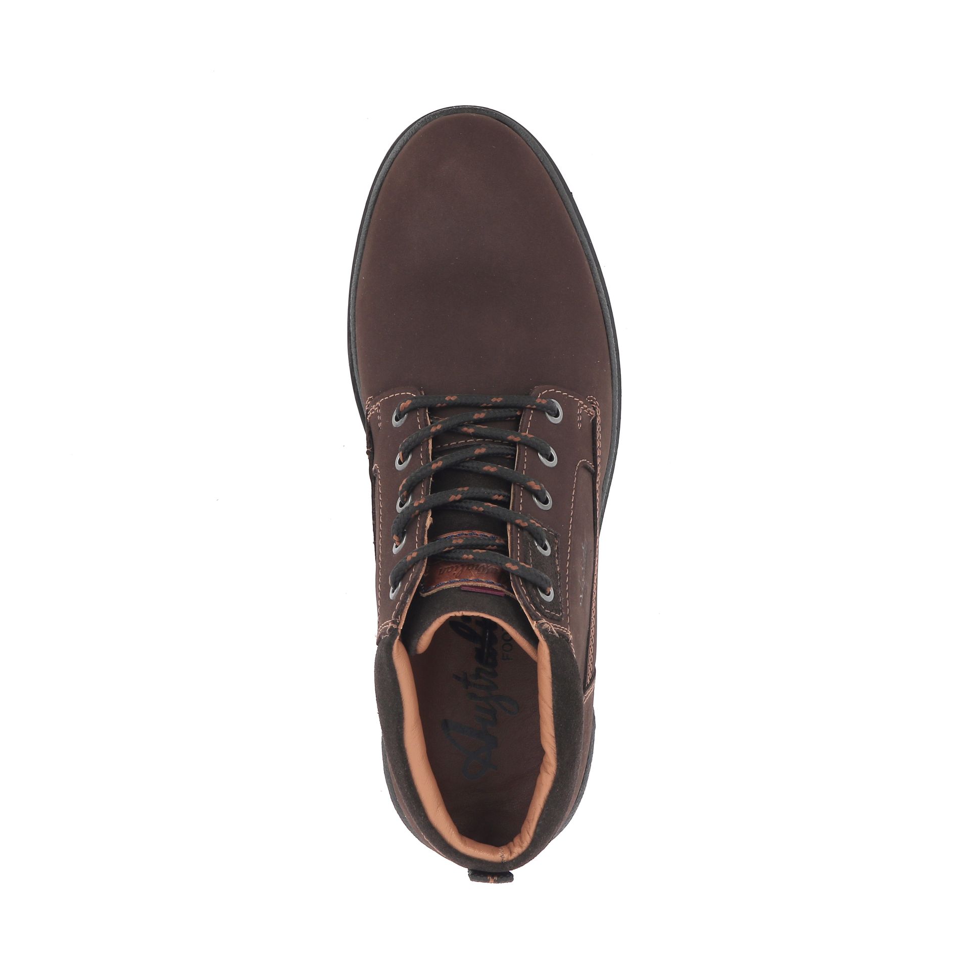 Australian Middelburg 267907 bruin