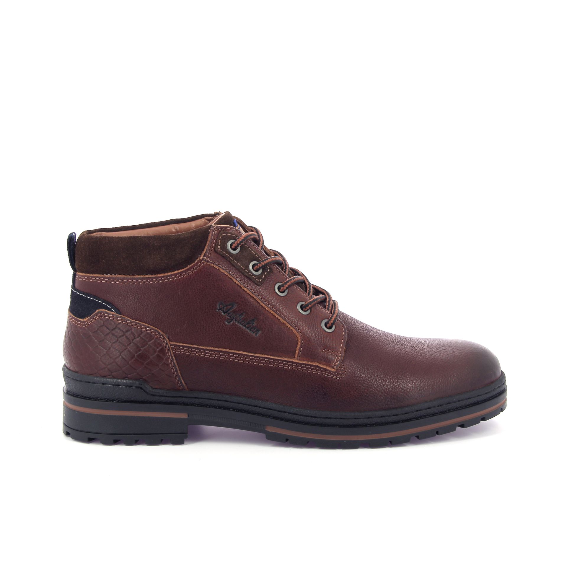 Australian Middelburg 267908 cognac