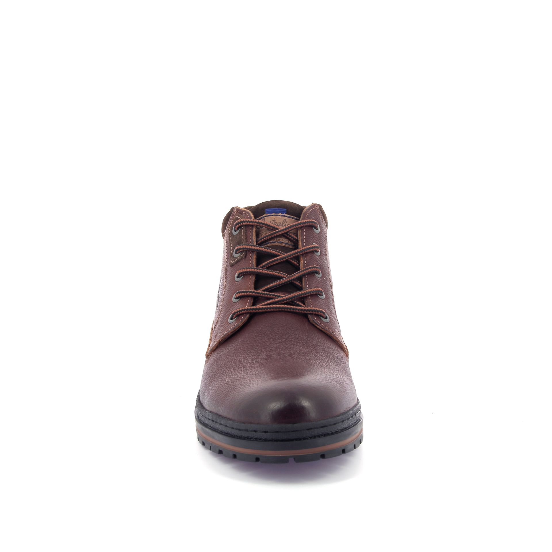 Australian Middelburg 267908 cognac