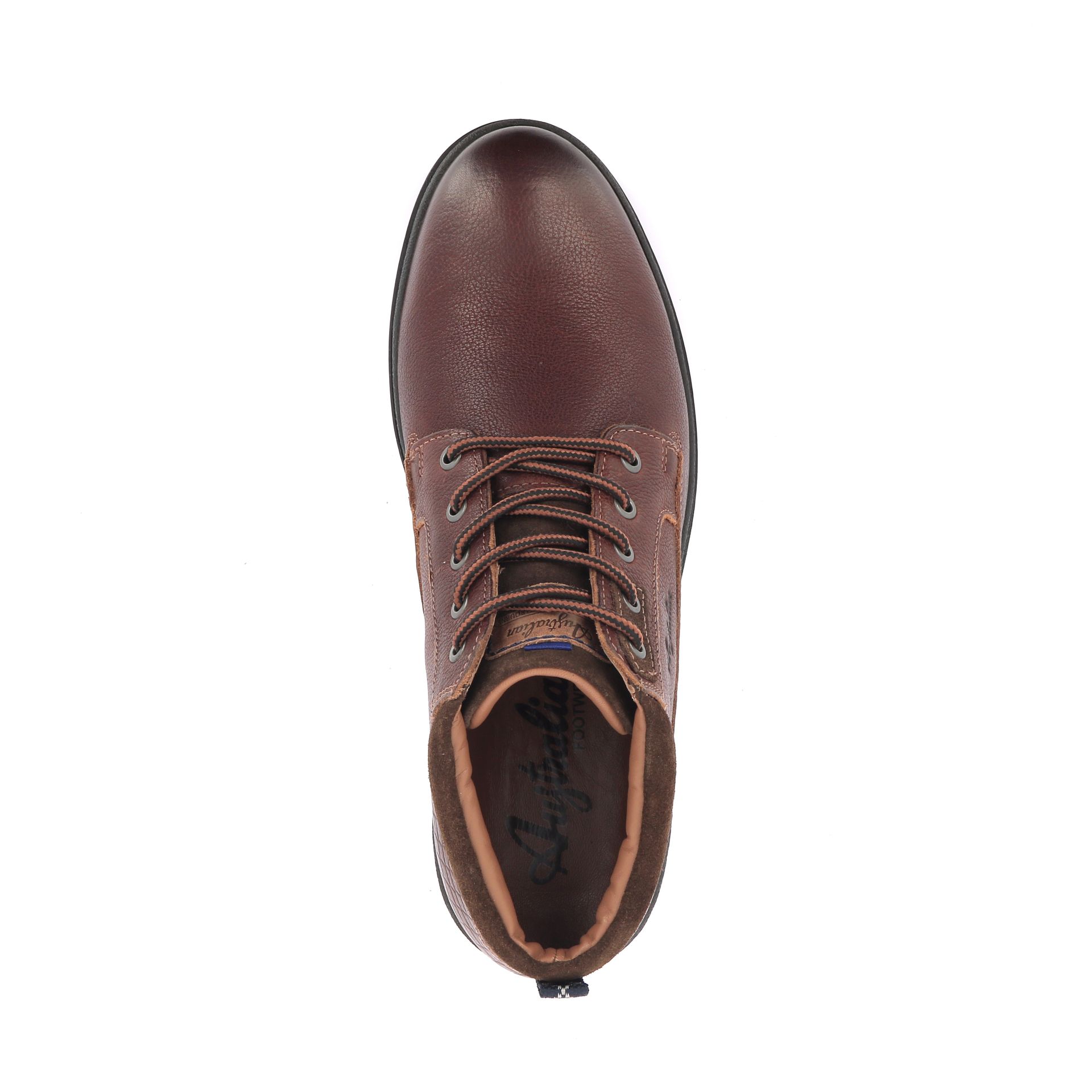 Australian Middelburg 267908 cognac