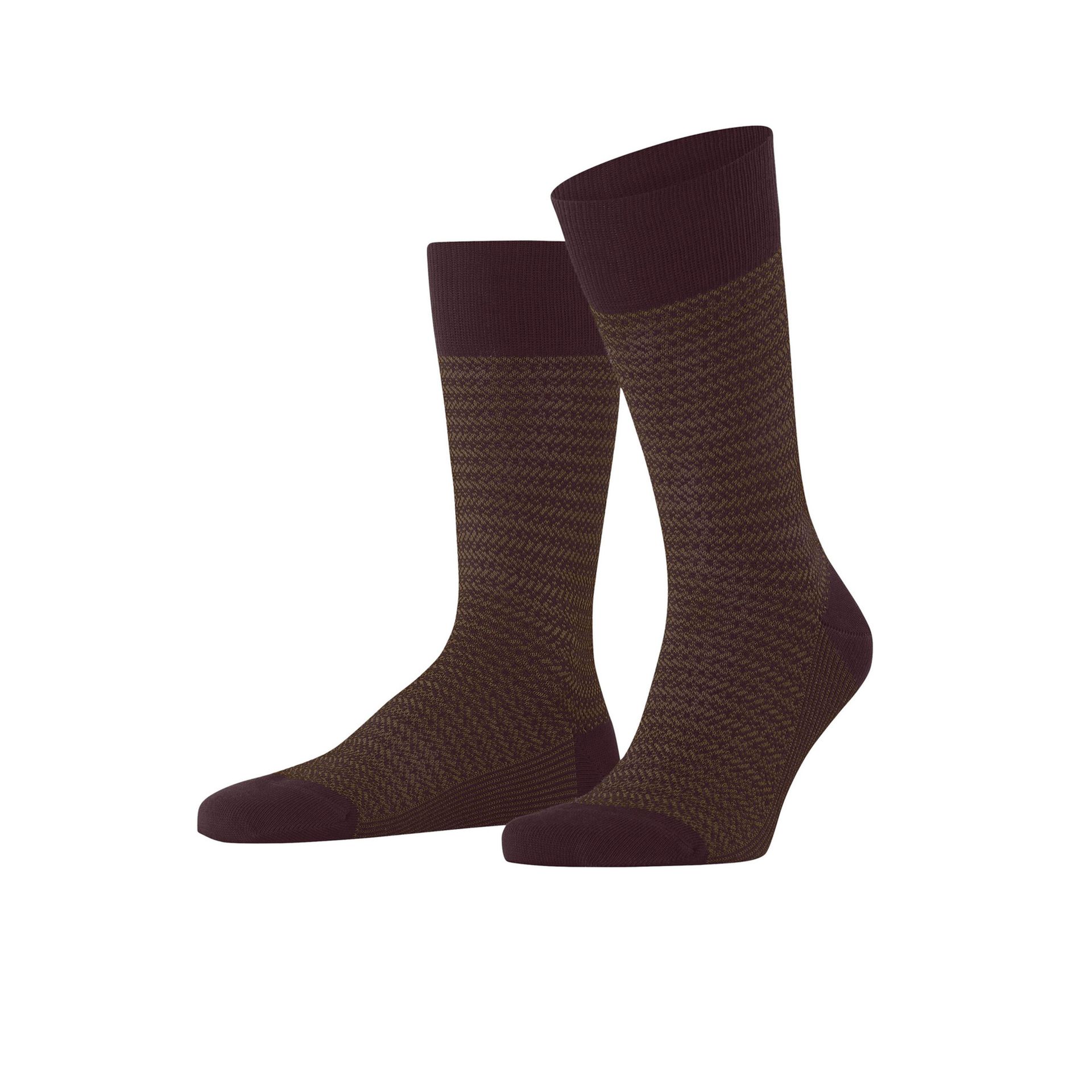 Falke Family Special Edition Barolo 267939 rood