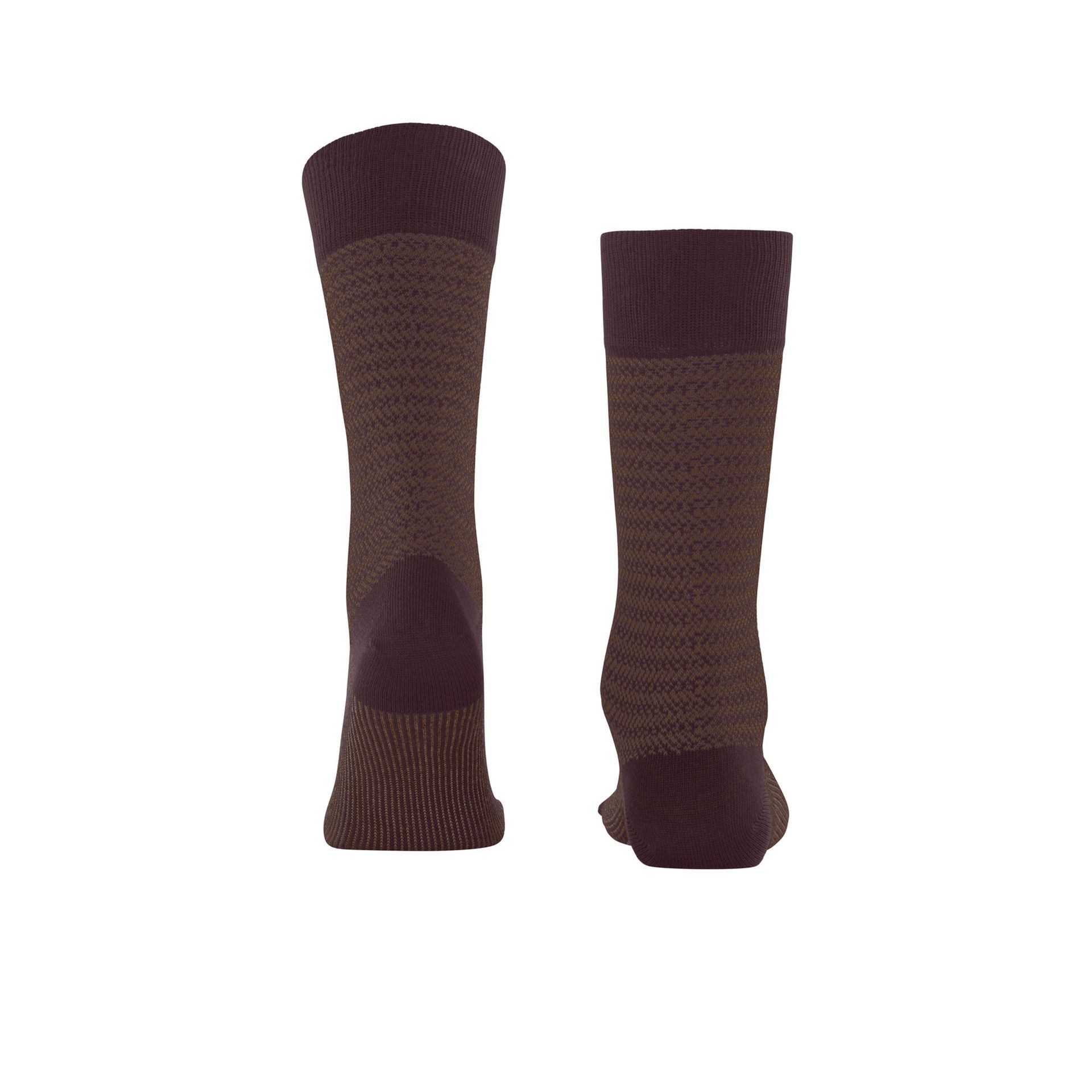 Falke Family Special Edition Barolo 267939 rood