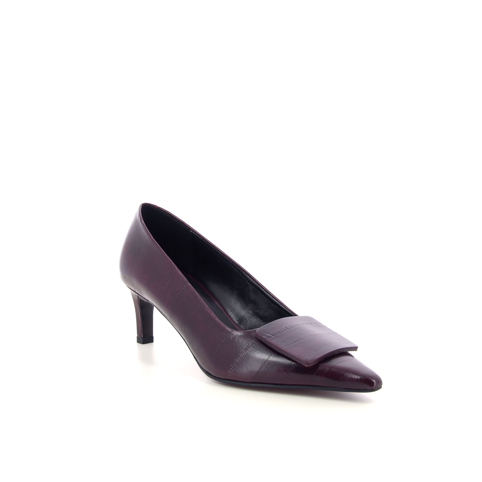 Zinda Pump 267980 rood