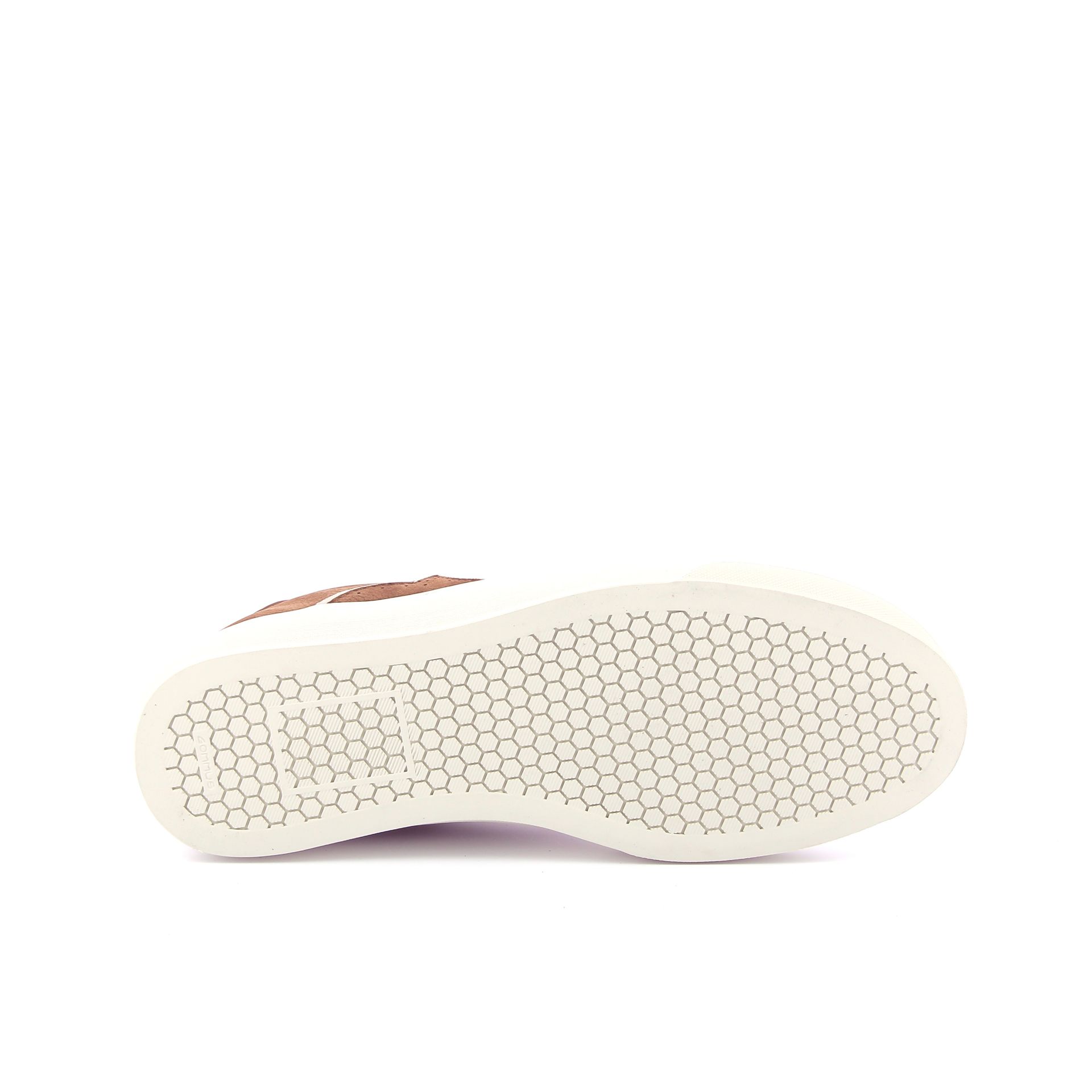 Acanto Oasi 267983 cognac