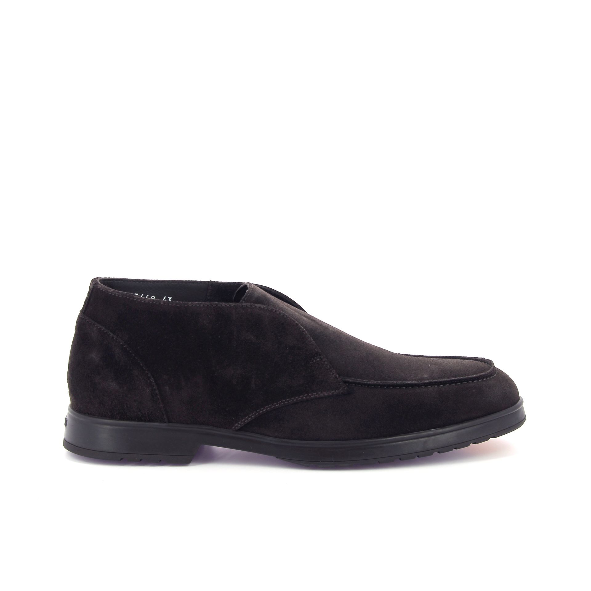 Doucal's Jeremy 268156 bruin