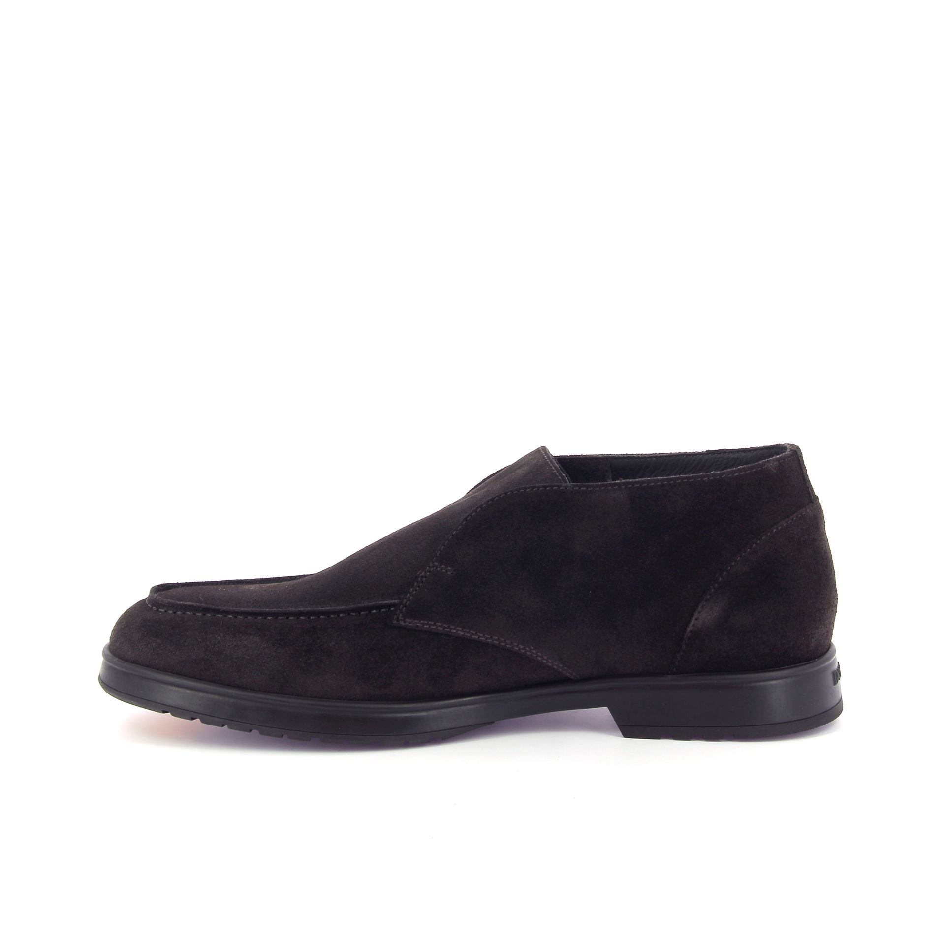 Doucal's Jeremy 268156 bruin