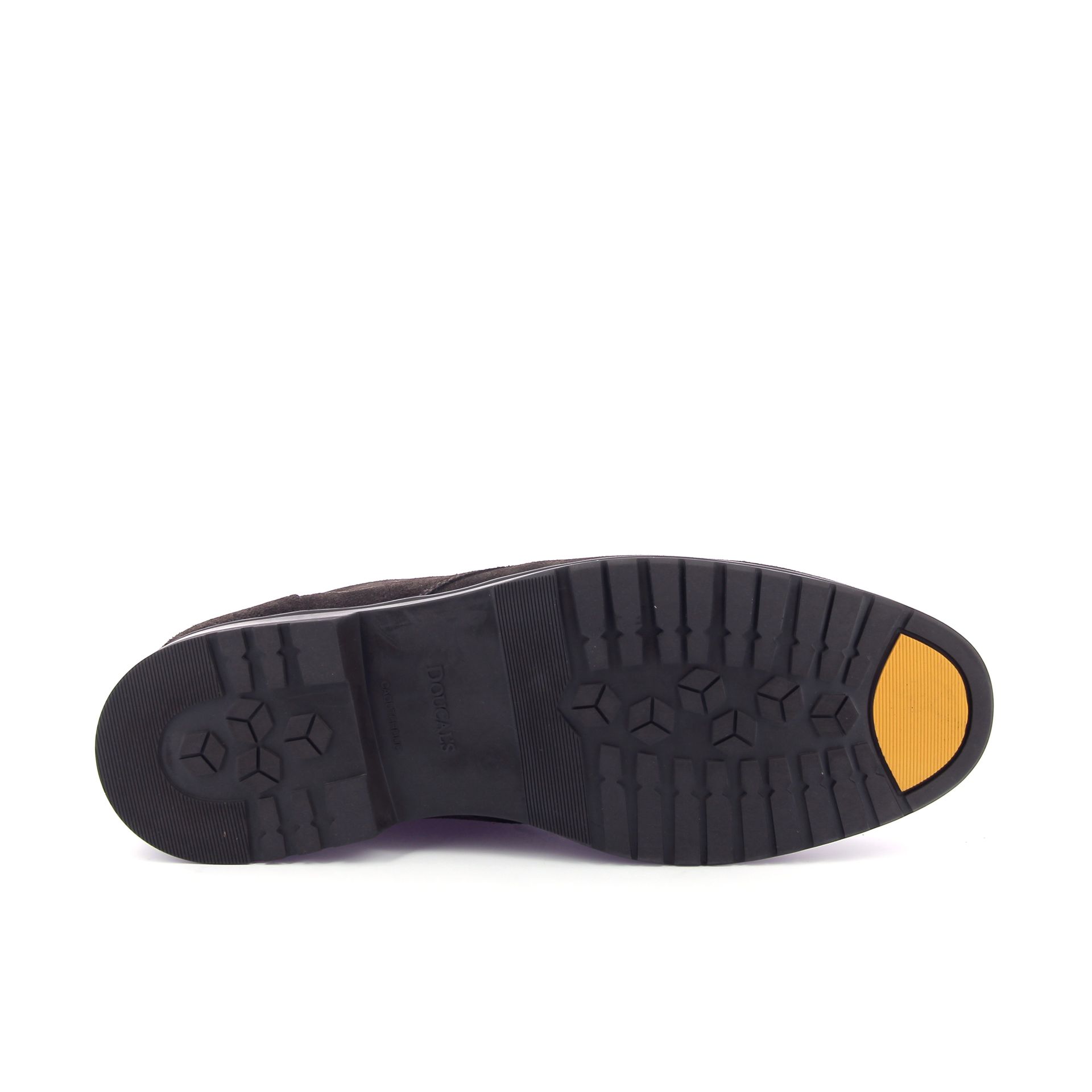Doucal's Jeremy 268156 bruin