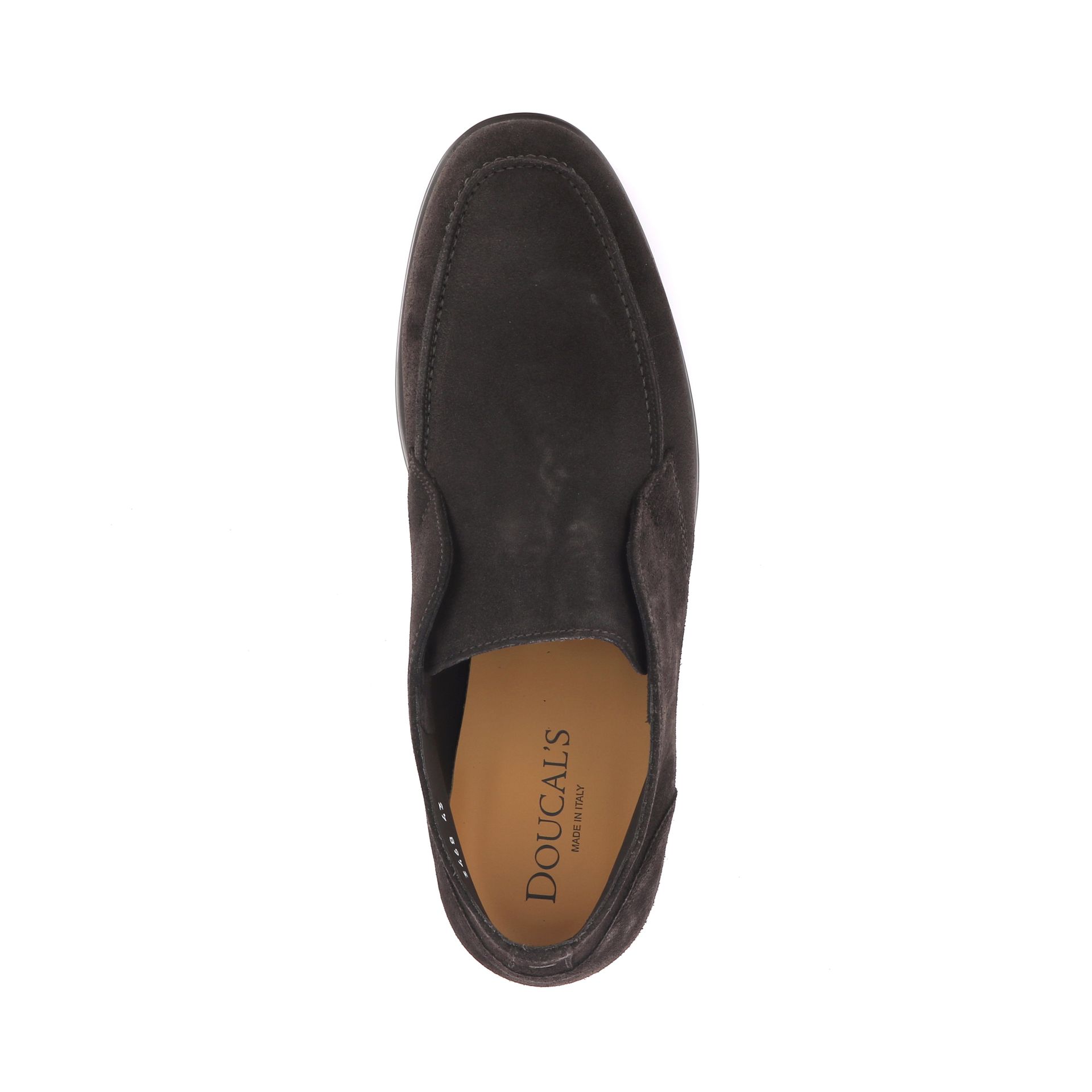 Doucal's Jeremy 268156 bruin