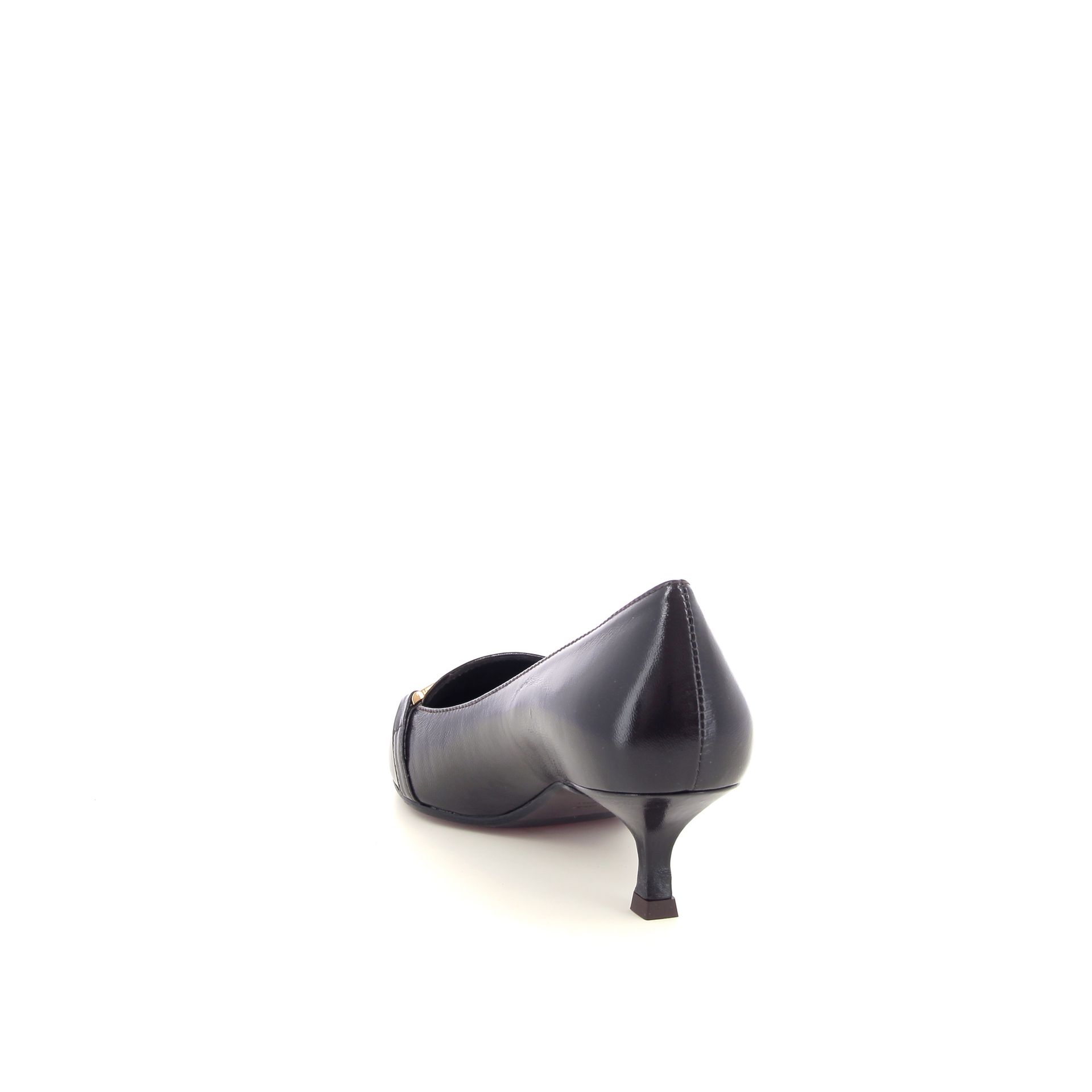 Chantal Pump 268255 bruin