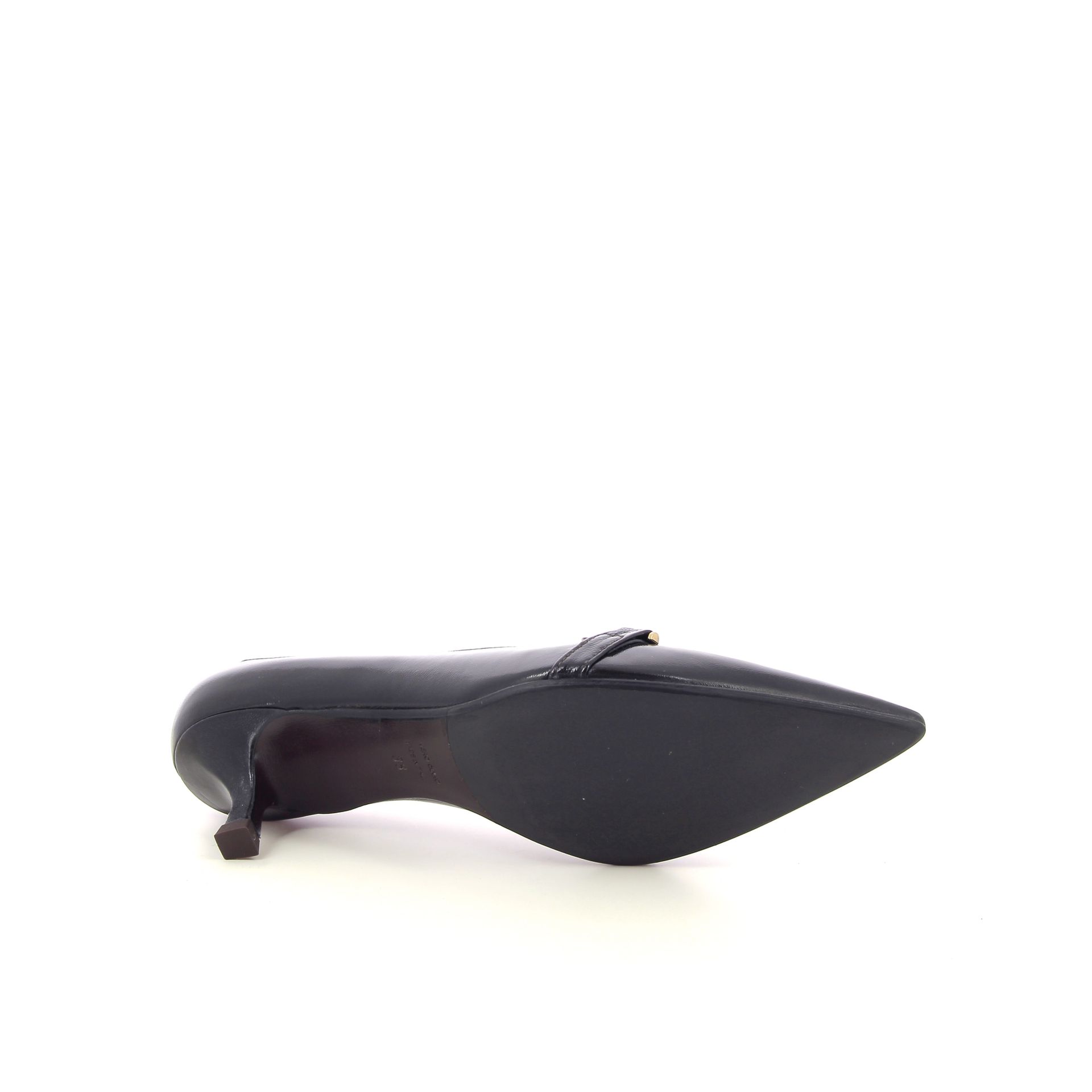 Chantal Pump 268255 bruin