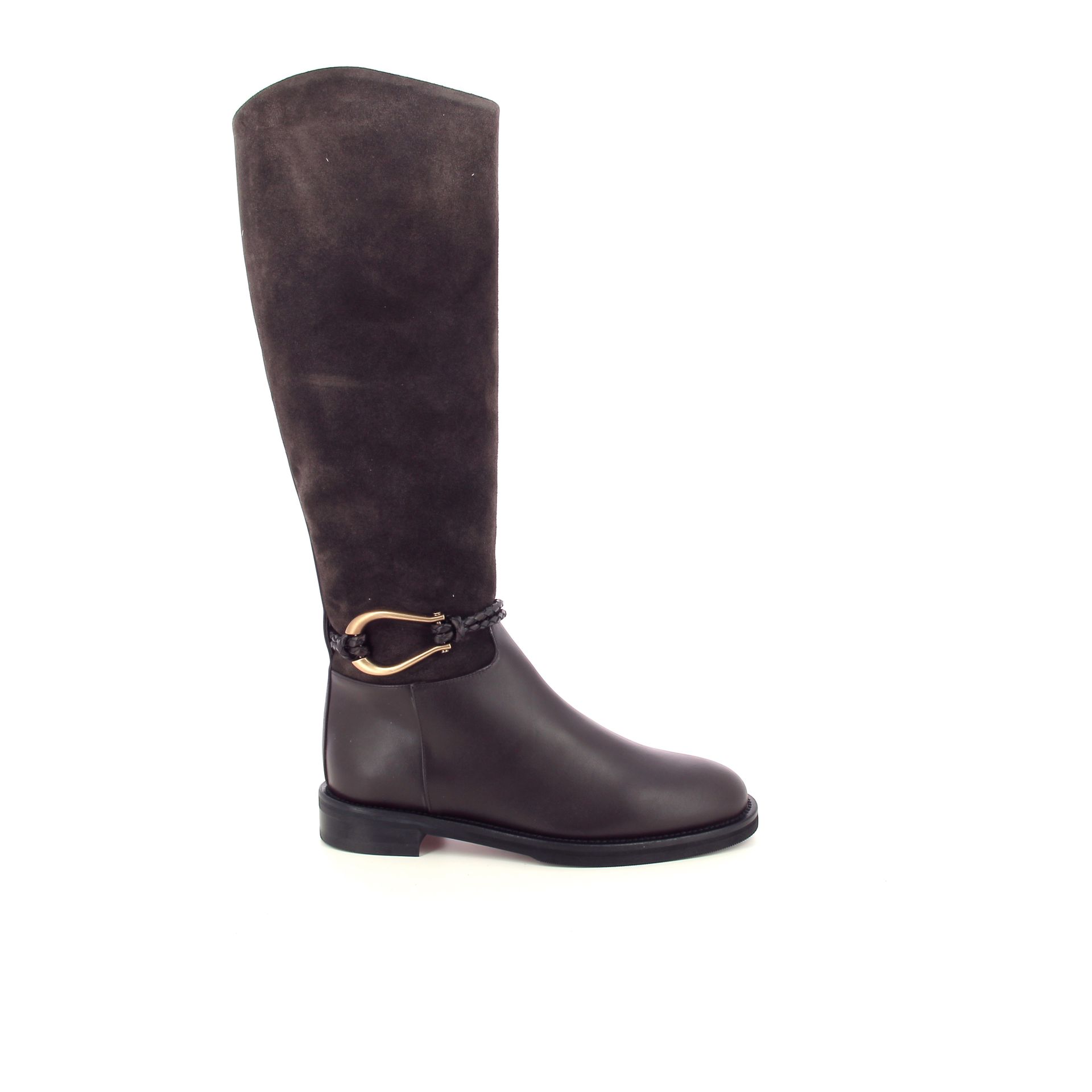 Roberto Festa Morgan 268287 bruin