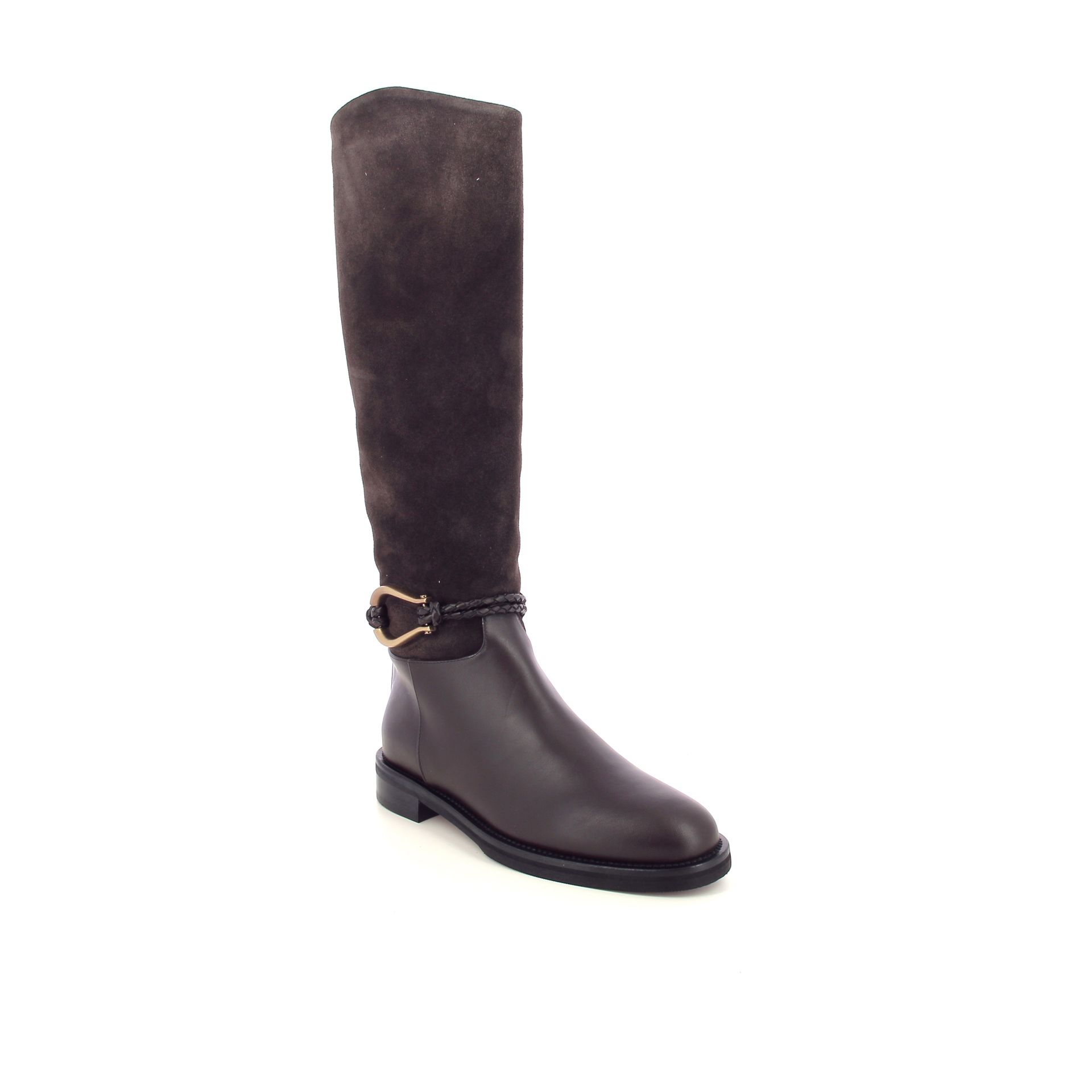 Roberto Festa Morgan 268287 bruin