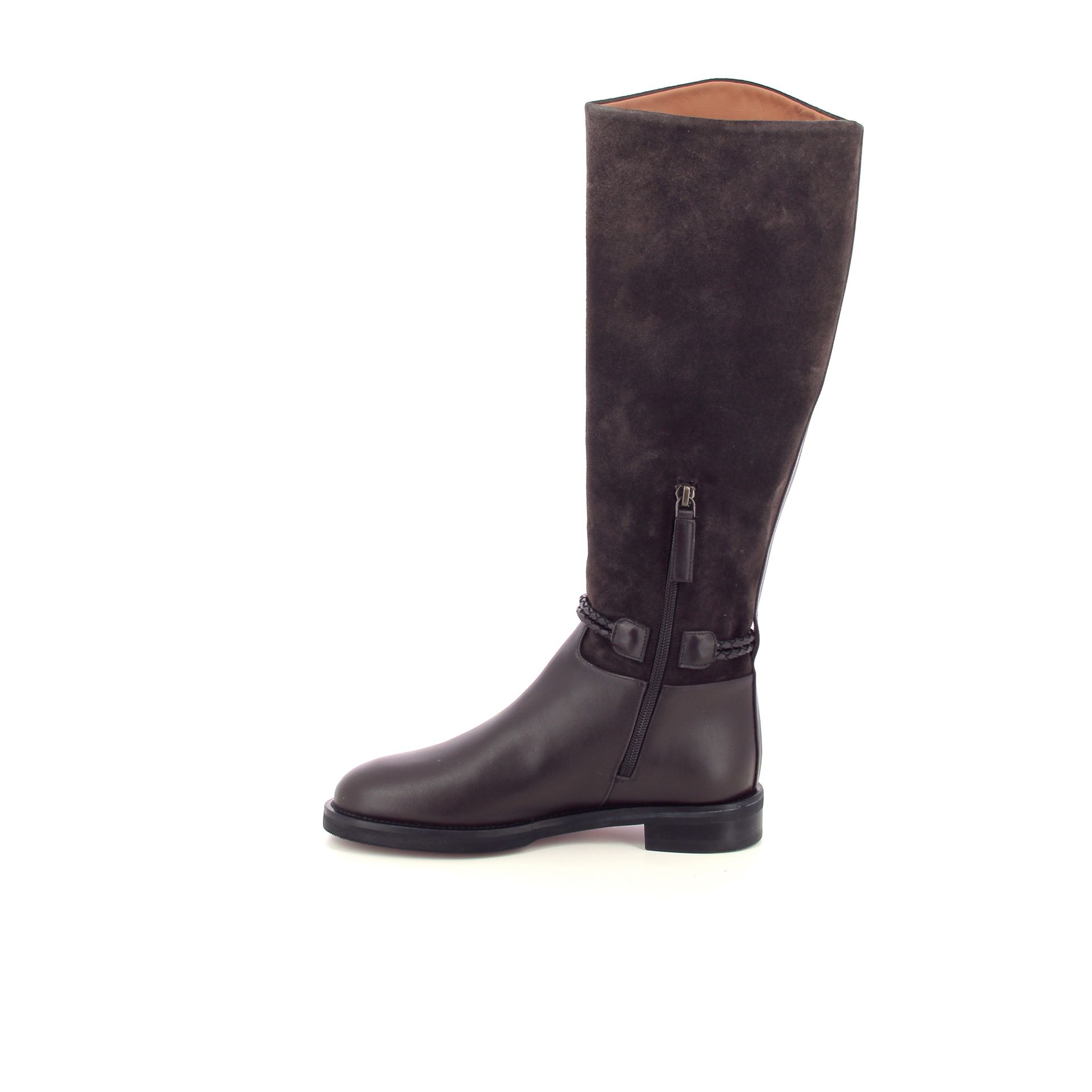 Roberto Festa Morgan 268287 bruin