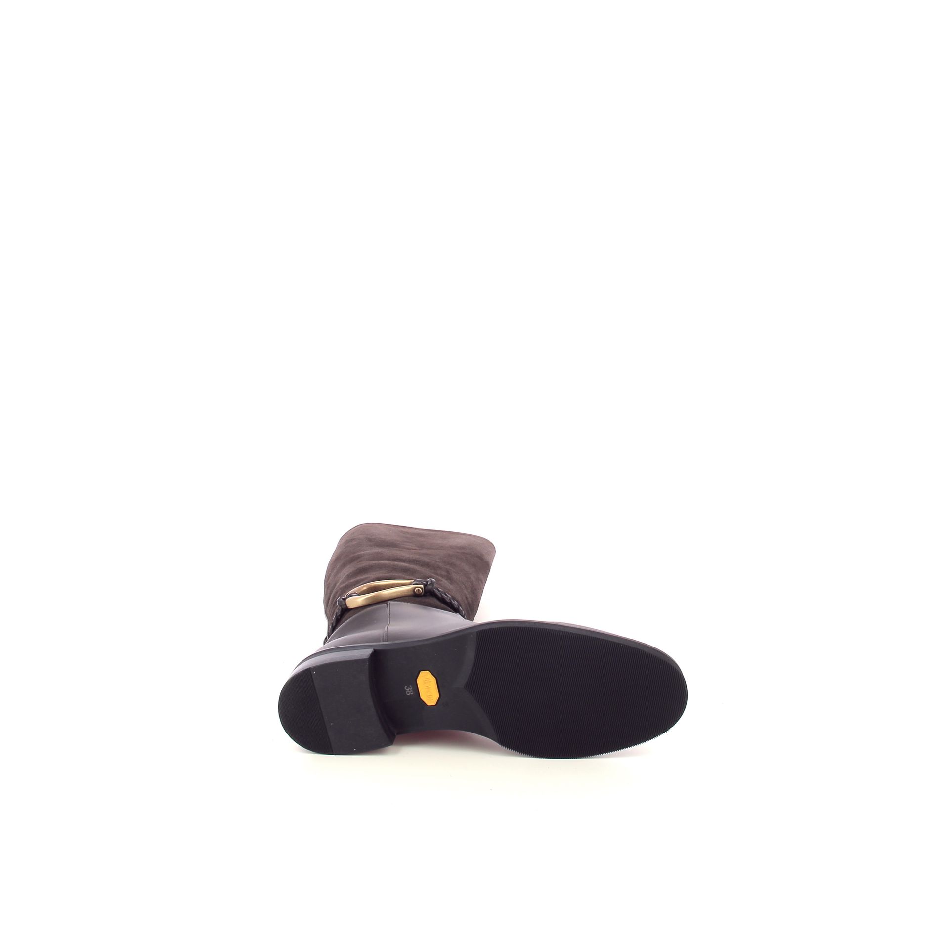 Roberto Festa Morgan 268287 bruin
