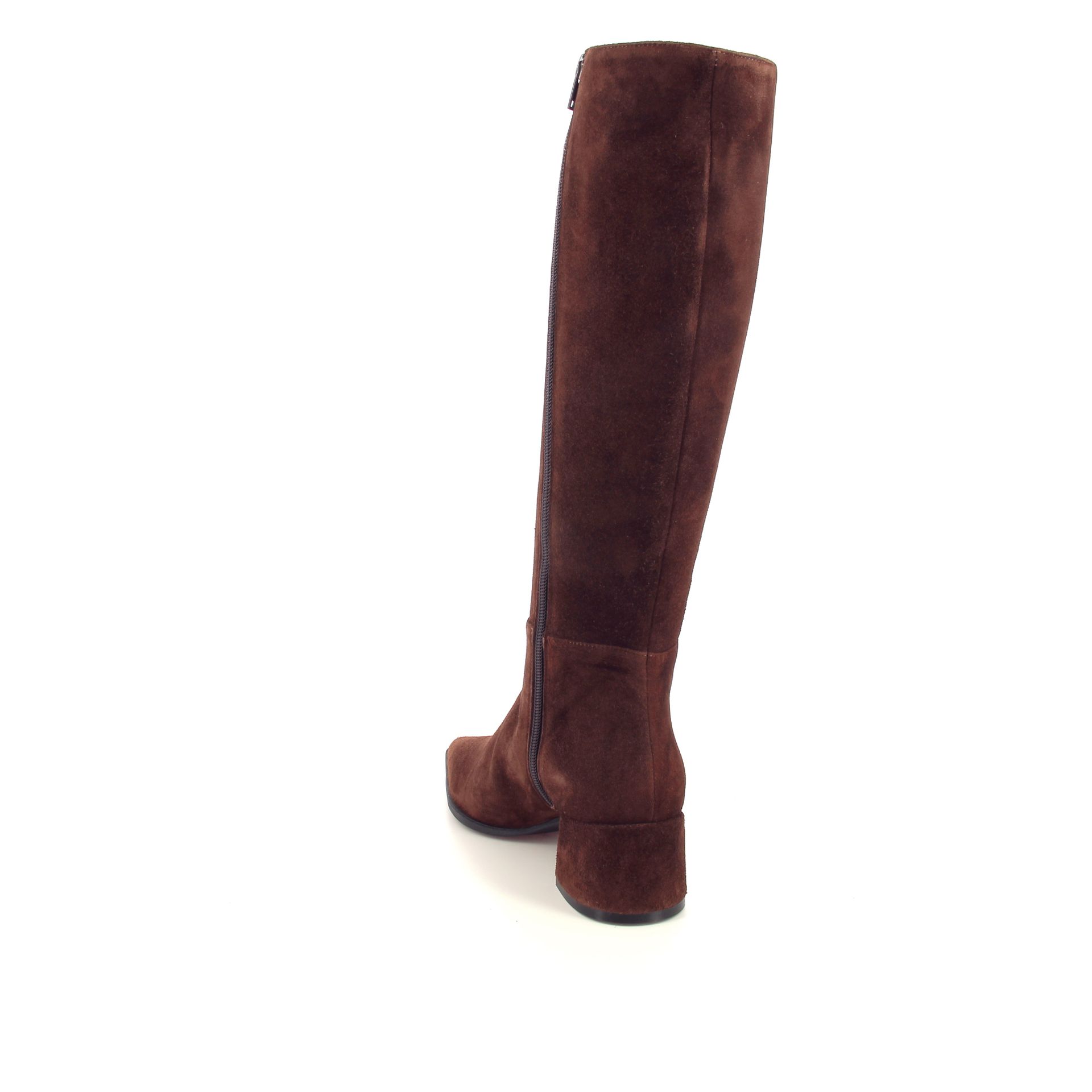 Festa Teonel 268295 cognac