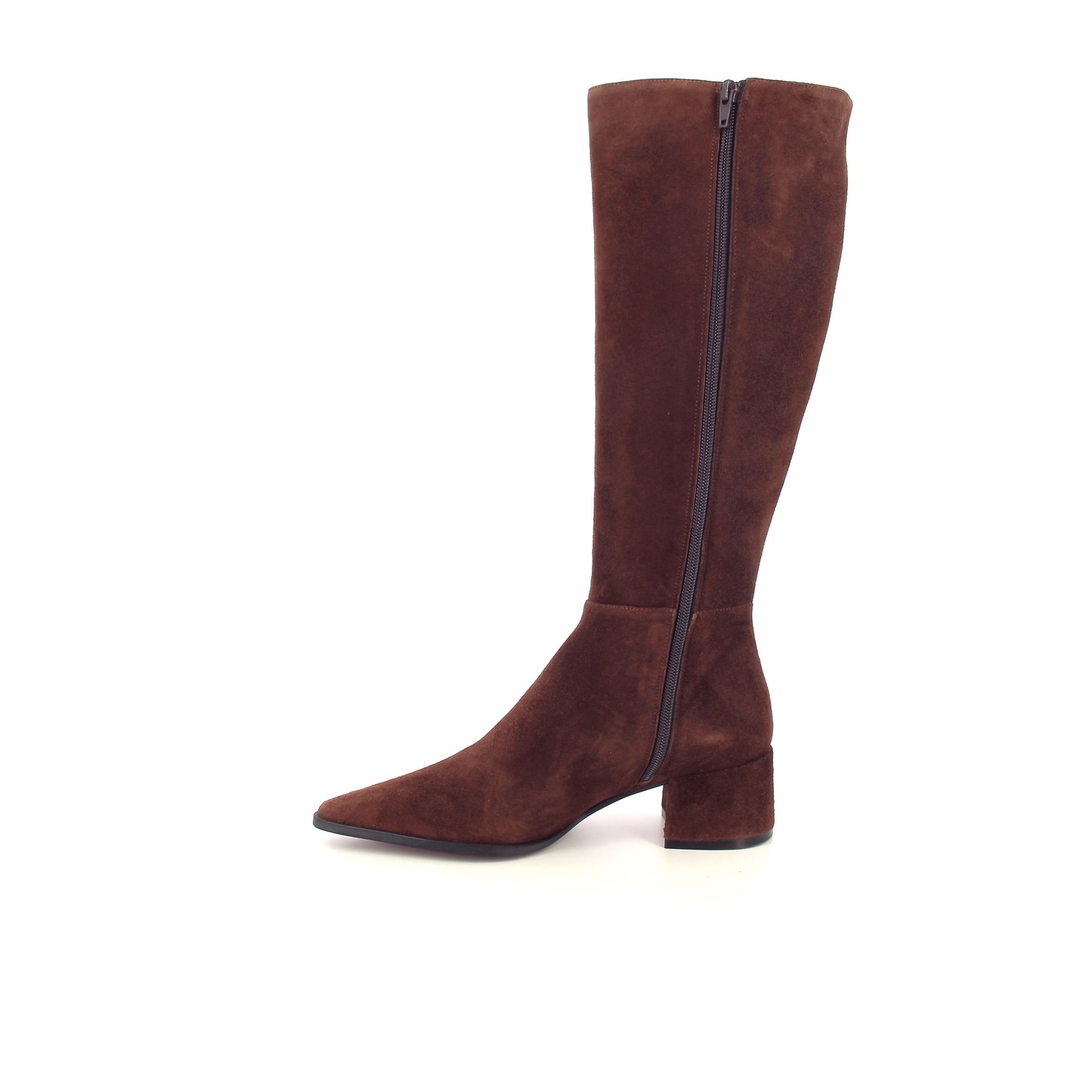 Festa Teonel 268295 cognac