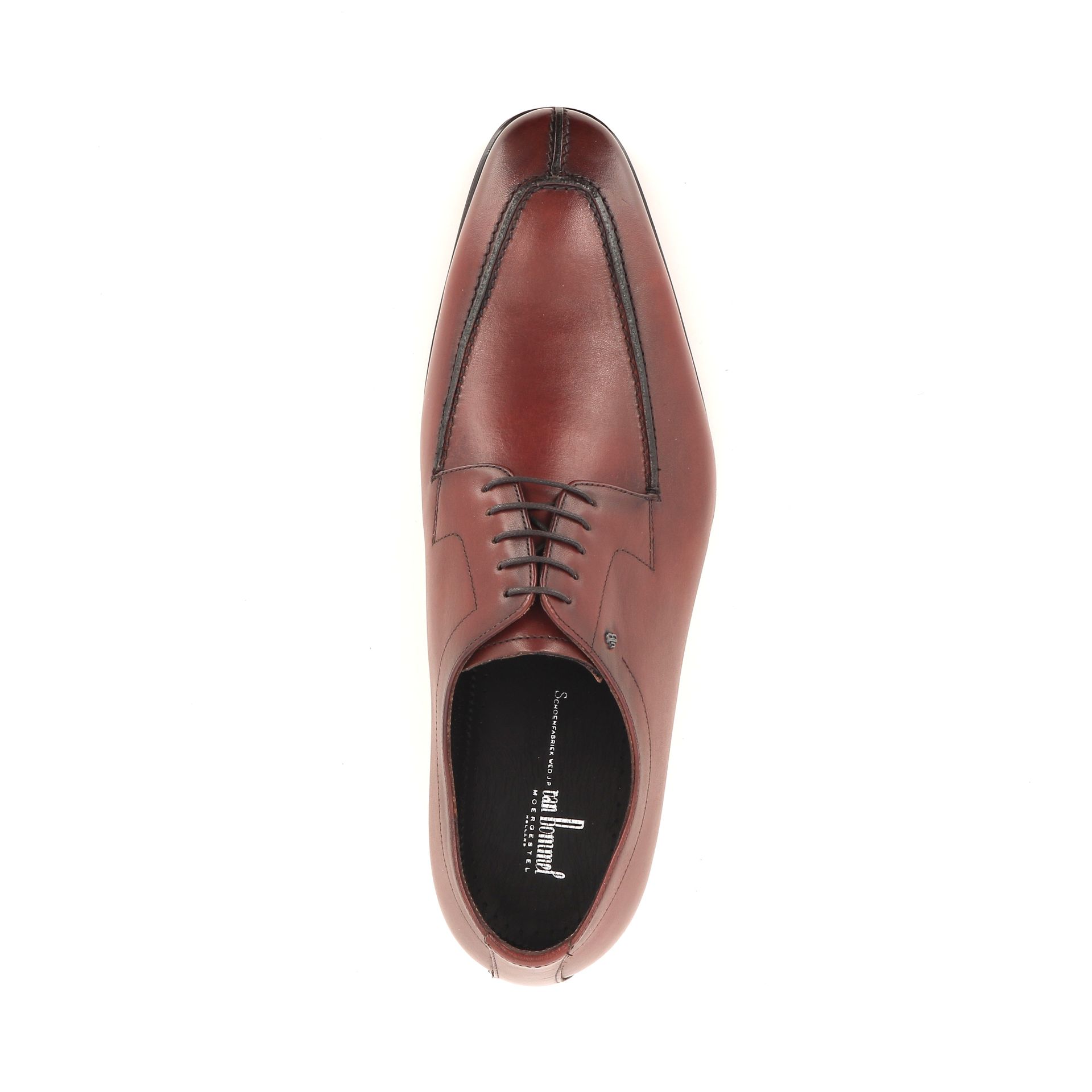 Van Bommel Matra 04.00 268637 cognac