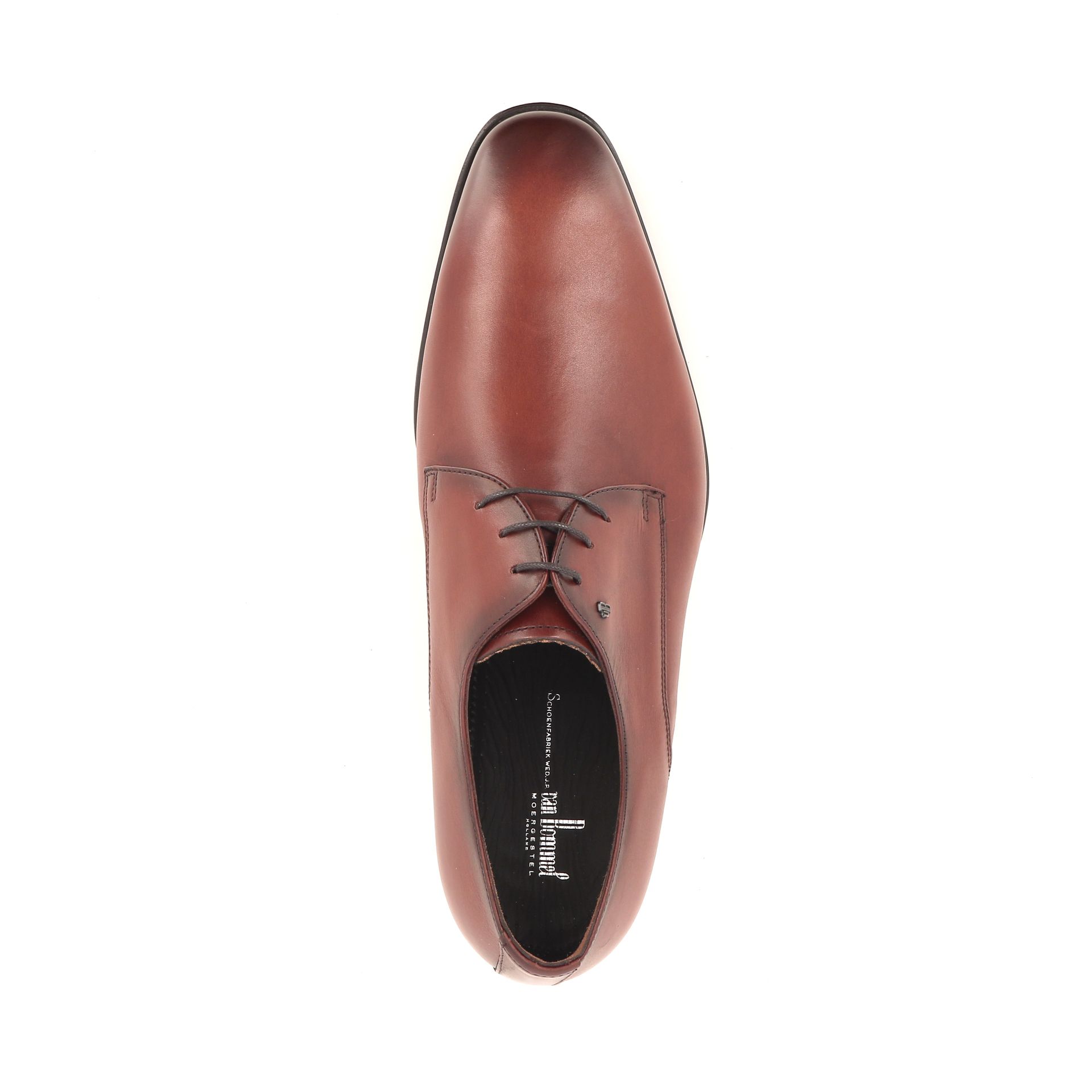 Van Bommel Matra 01.00 268639 cognac