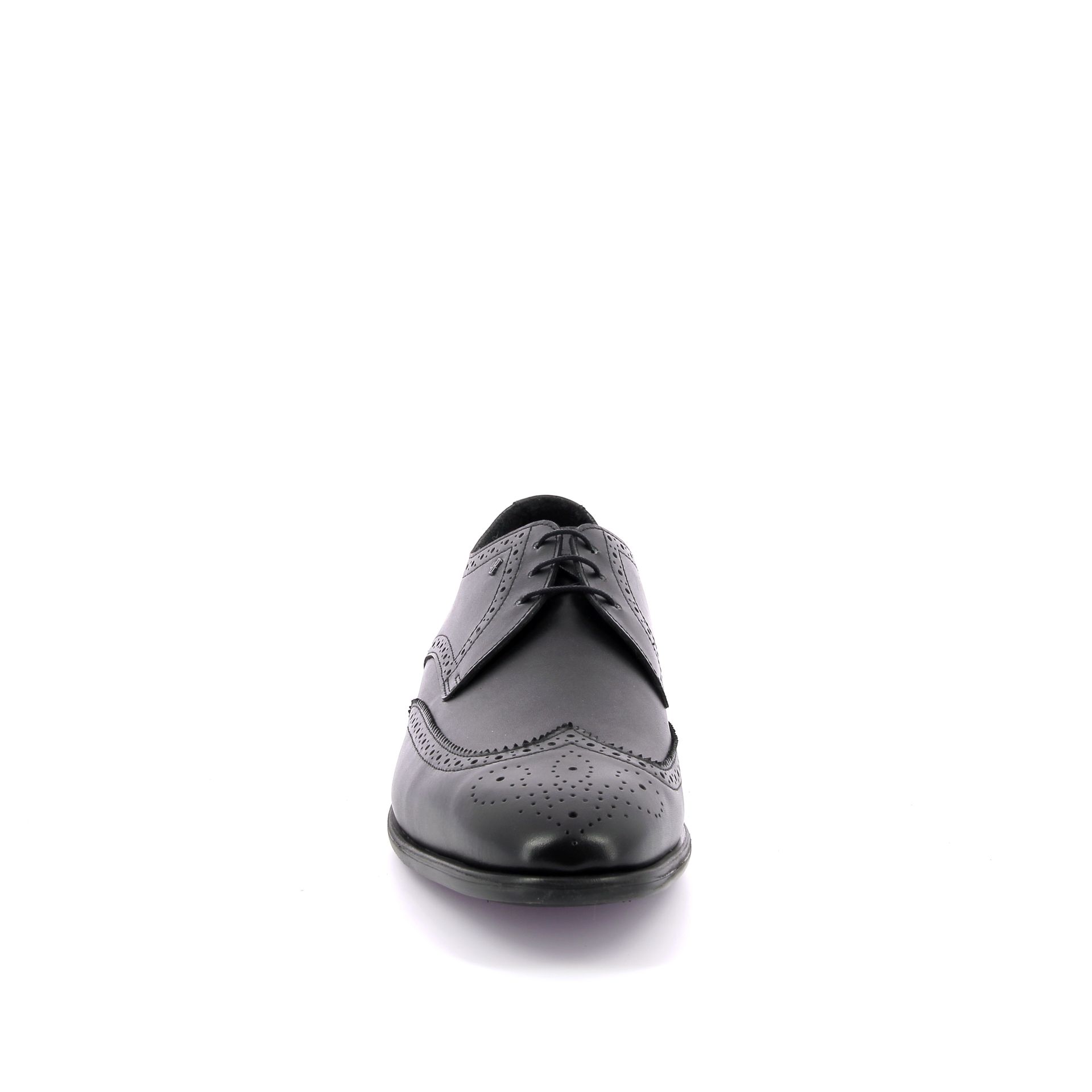Van Bommel Terra 07.00 268642 zwart