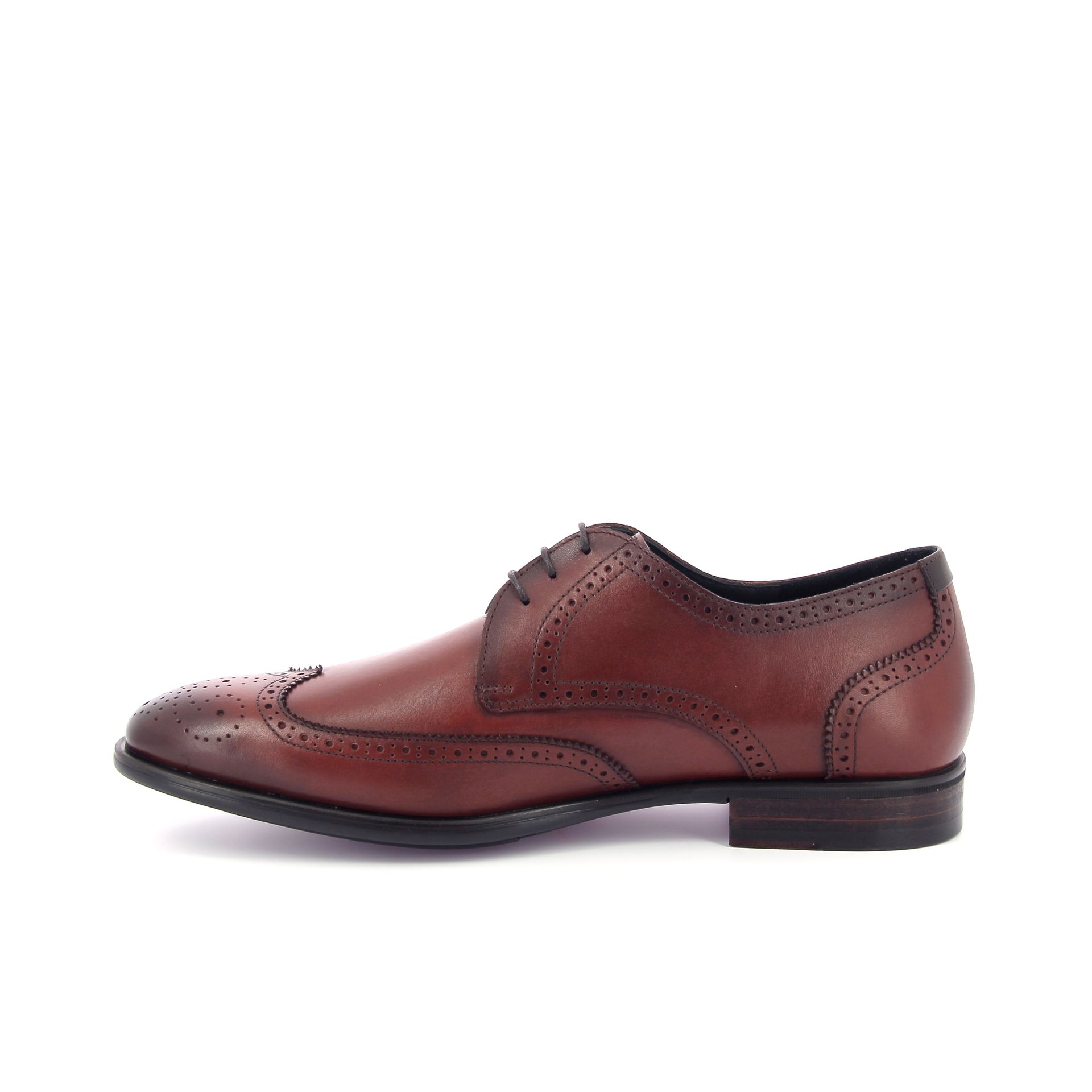 Van Bommel Terra 07.02 268643 cognac
