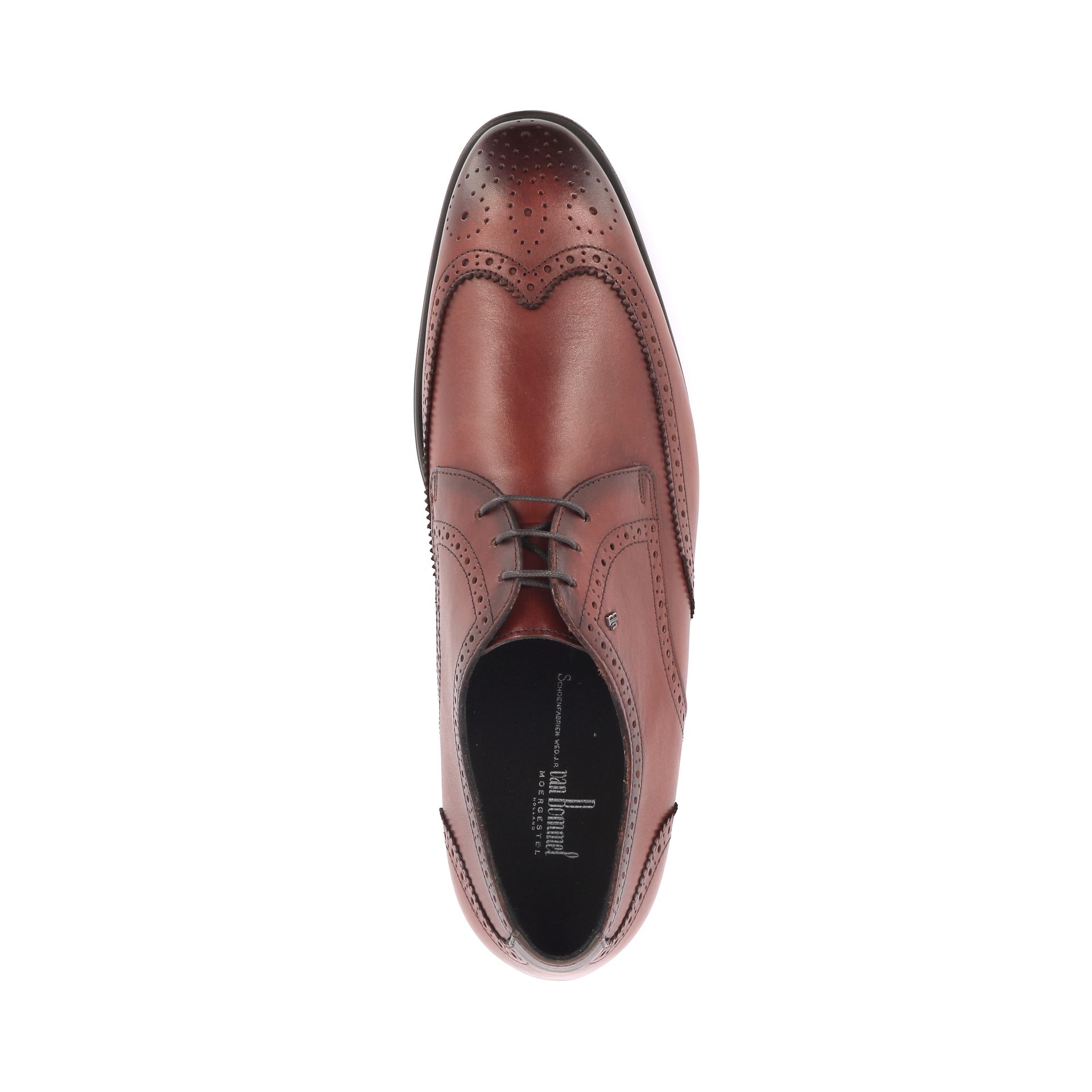 Van Bommel Terra 07.02 268643 cognac