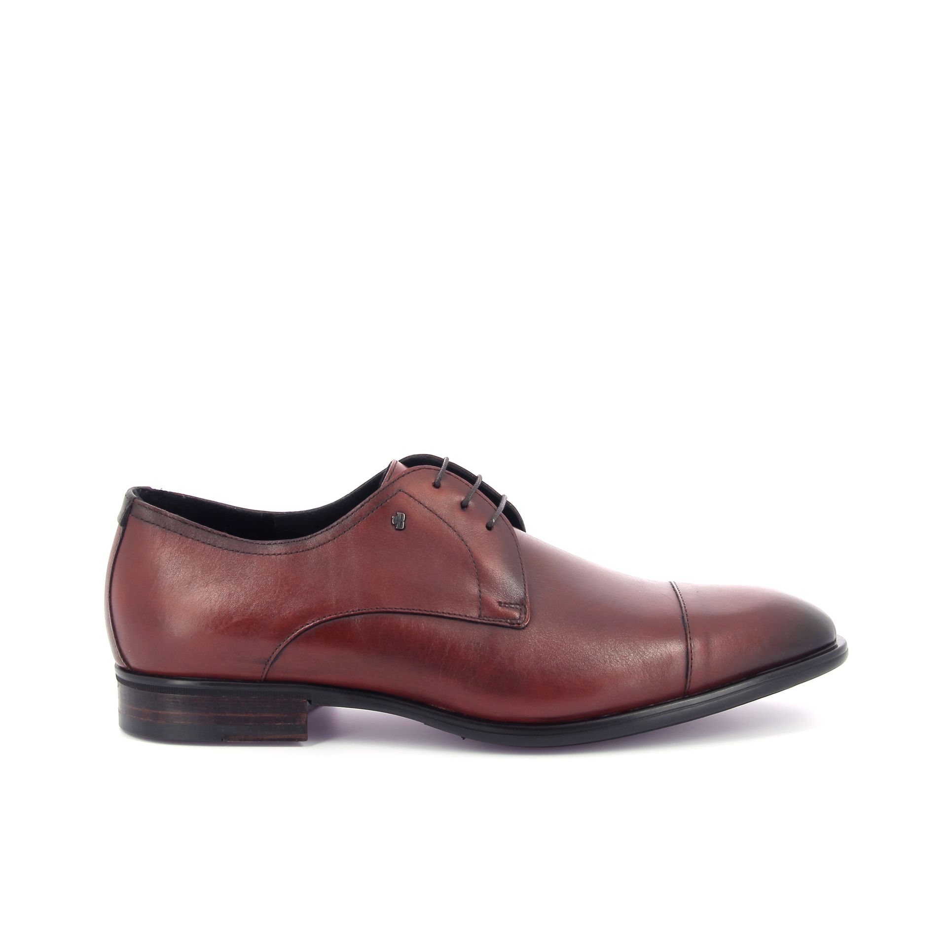 Van Bommel Terra 06.02 268644 cognac