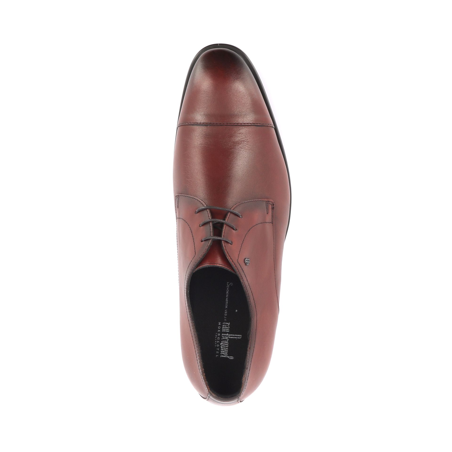 Van Bommel Terra 06.02 268644 cognac