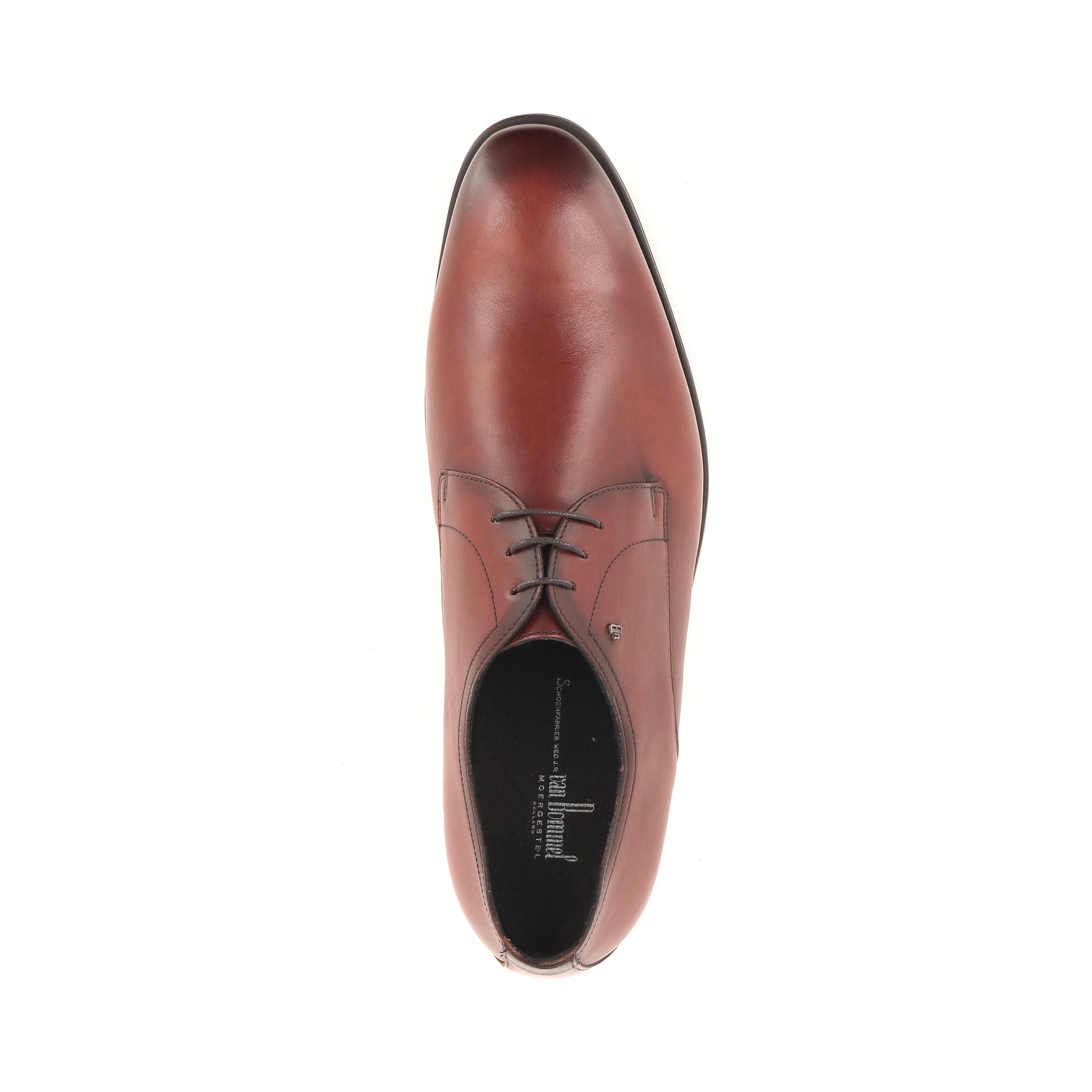 Van Bommel Terra 02.05 268645 cognac