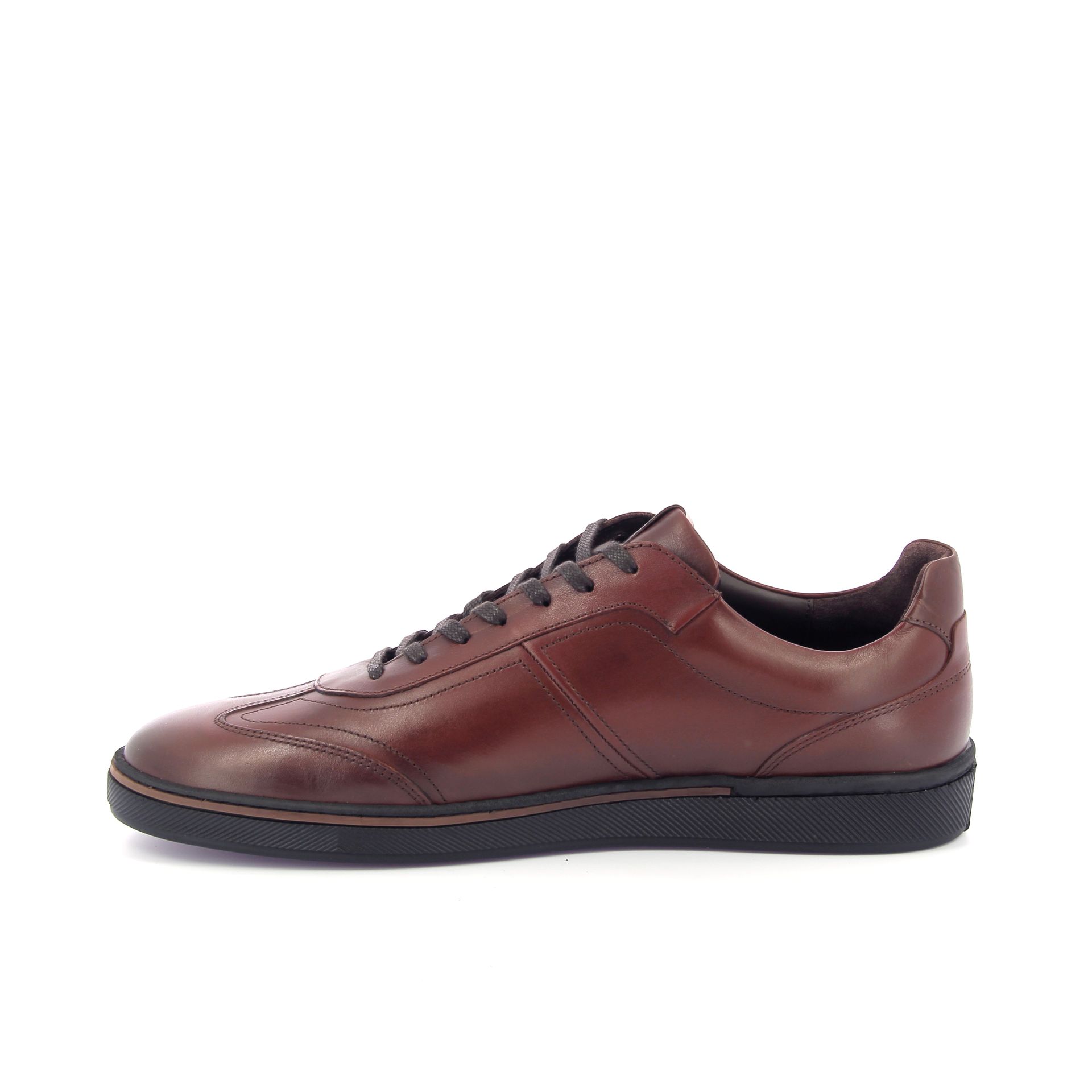 Van Bommel Bora 01.06 268649 cognac