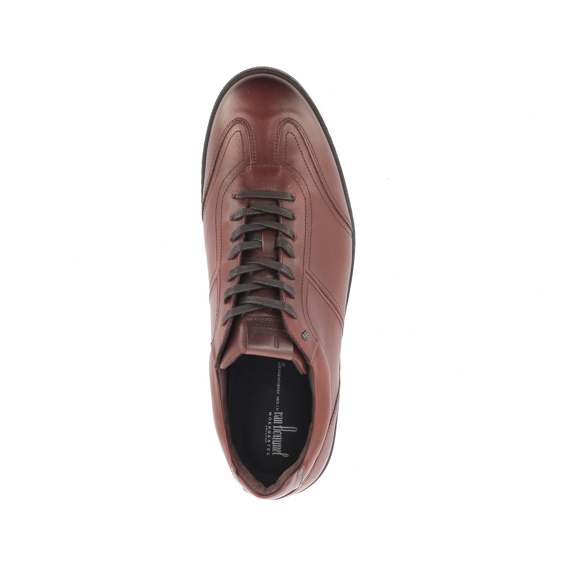 Van Bommel Bora 01.06 268649 cognac