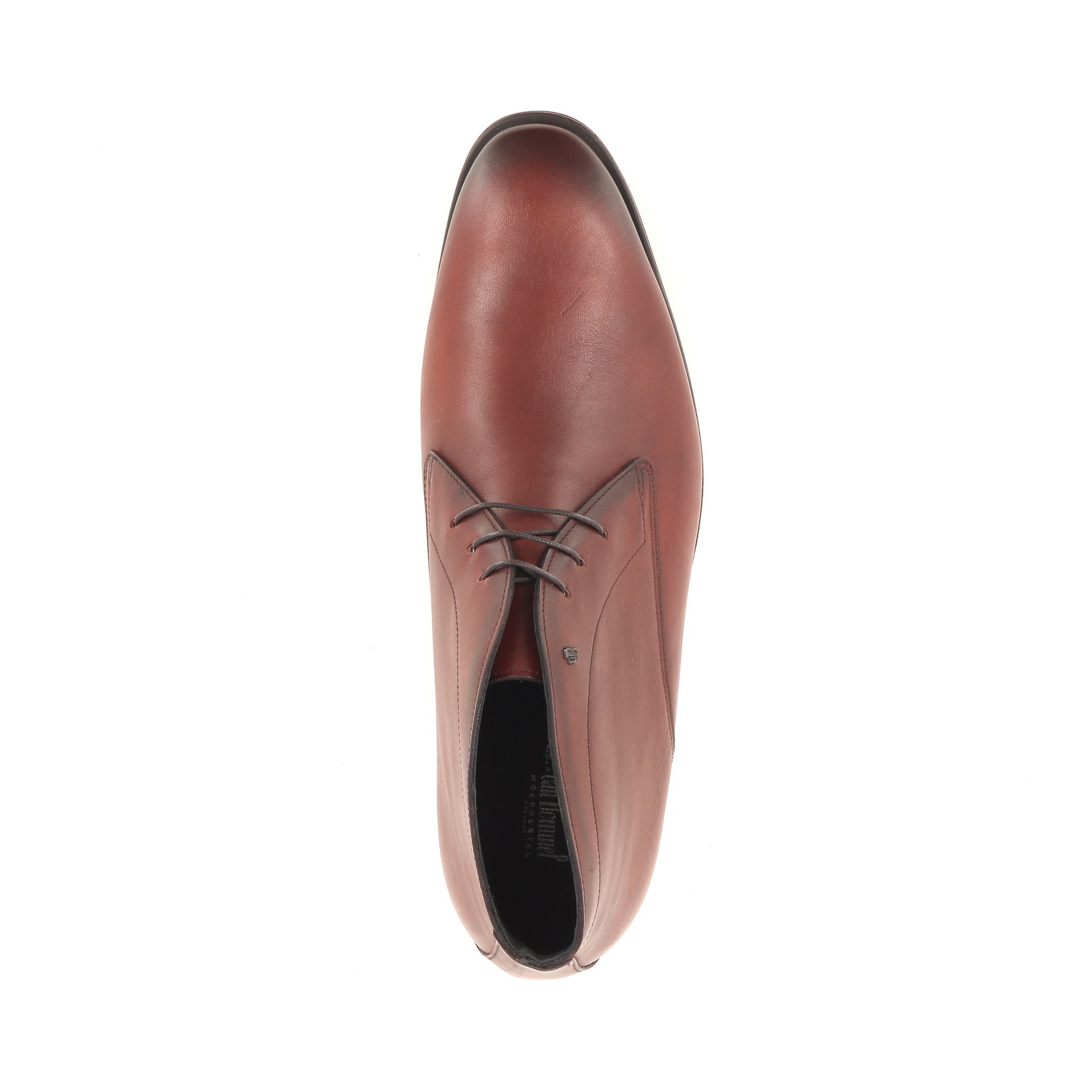 Van Bommel Terra 01.06 268654 cognac