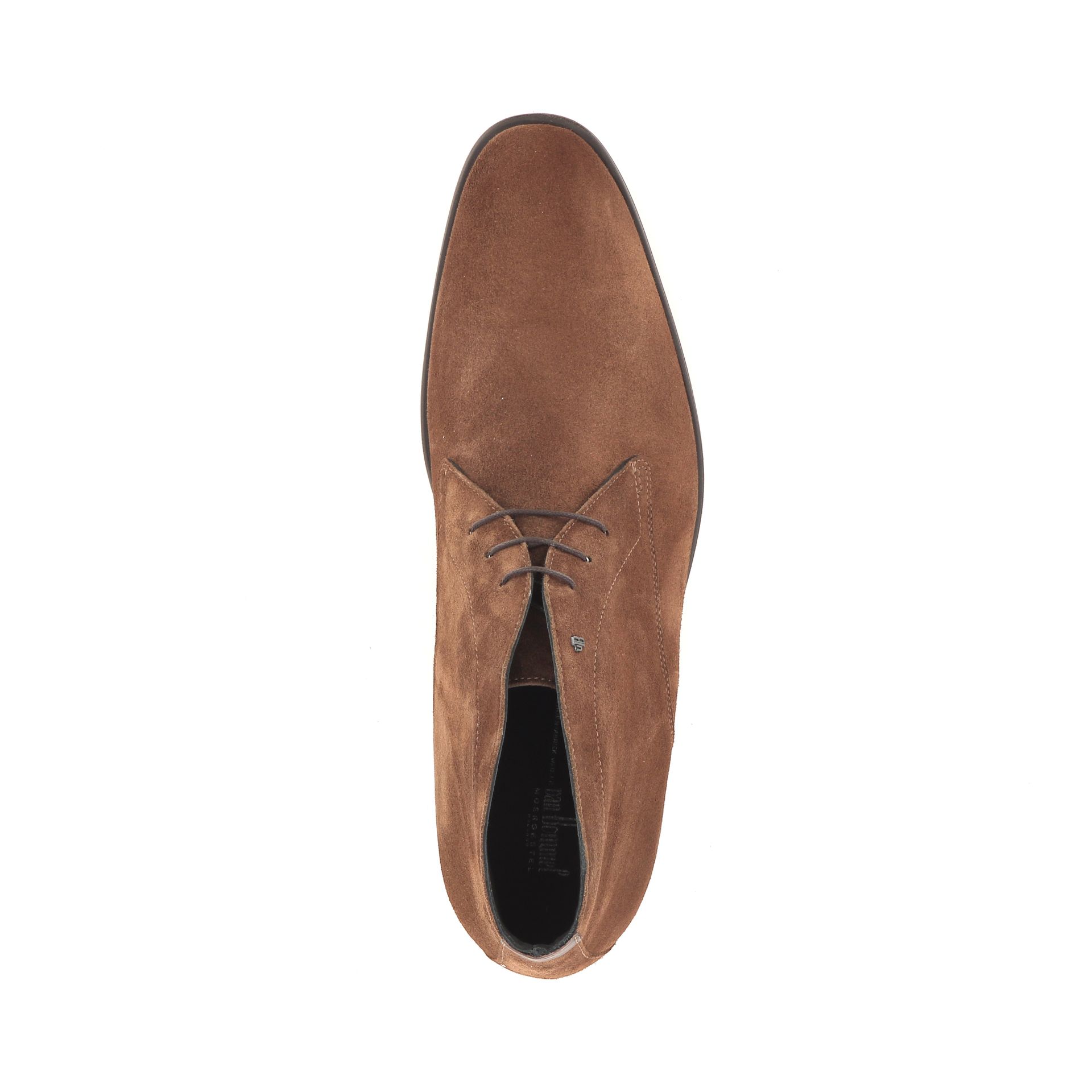 Van Bommel Terra 01.08 268657 cognac