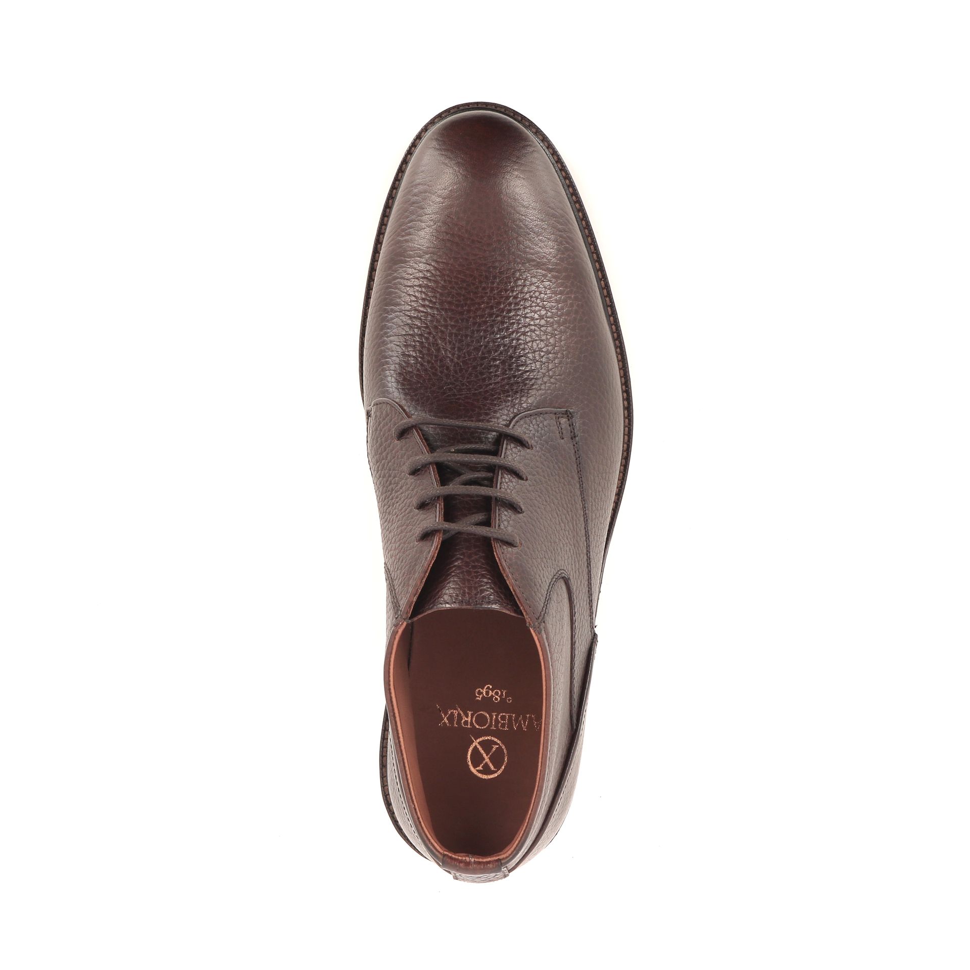 Ambiorix Notino 268661 bruin