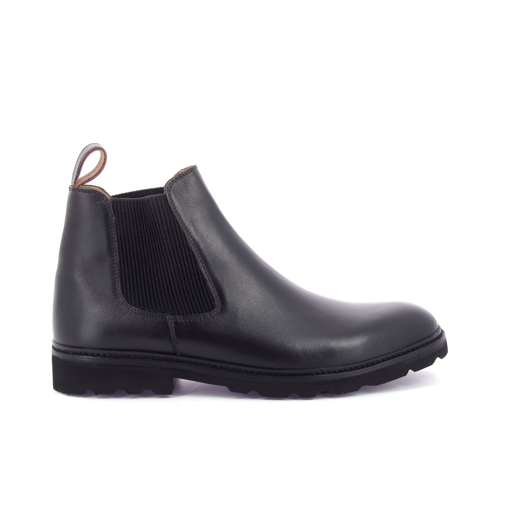 Ambiorix Sorelli 268664 bruin