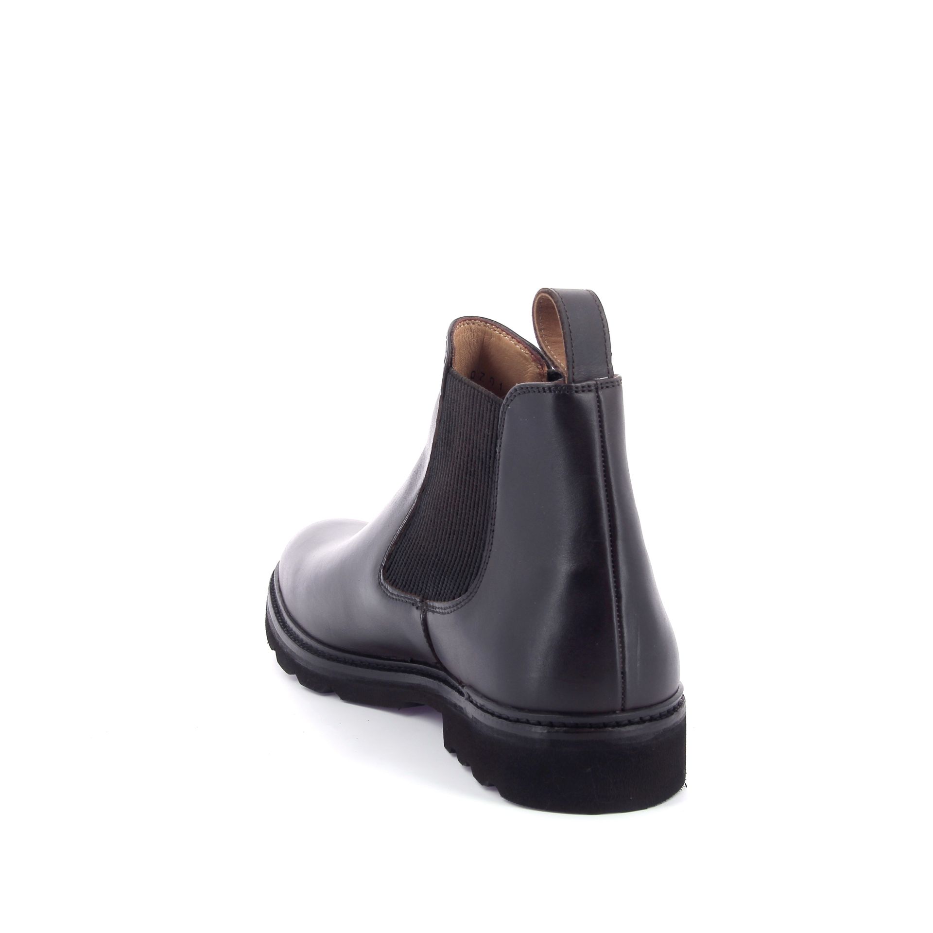 Ambiorix Sorelli 268664 bruin