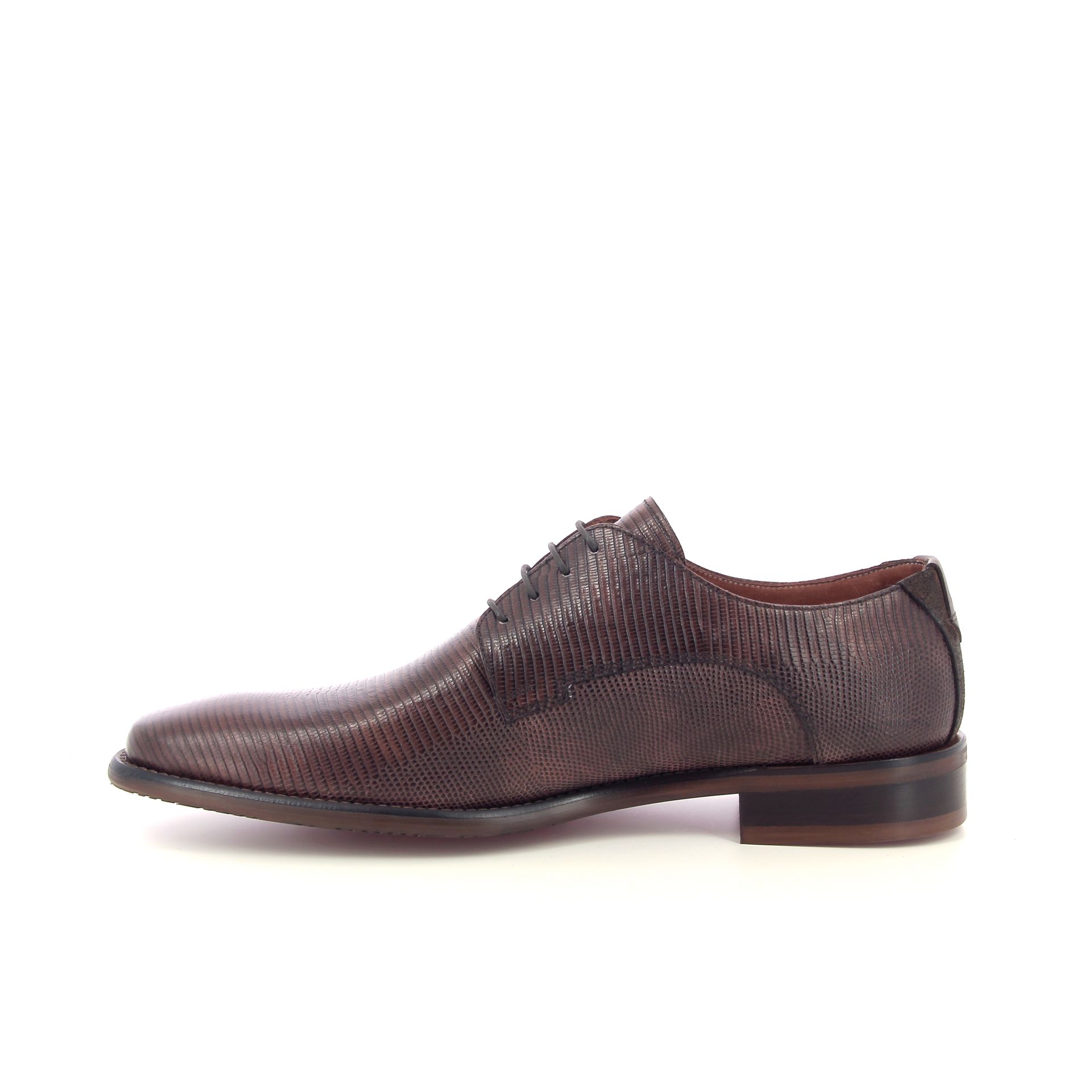 Ambiorix Jurassic 268666 bruin