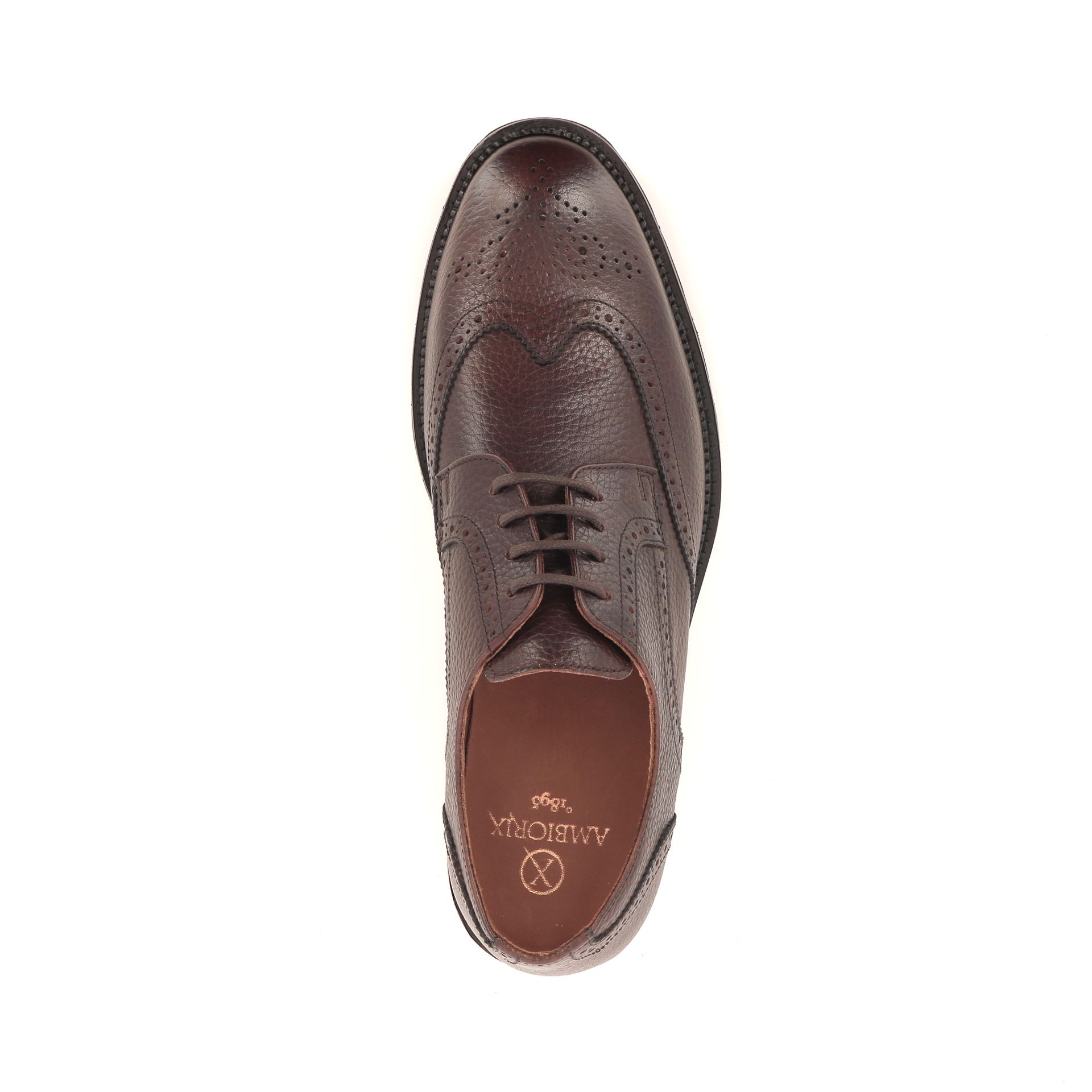 Ambiorix Nordy 268670 bruin