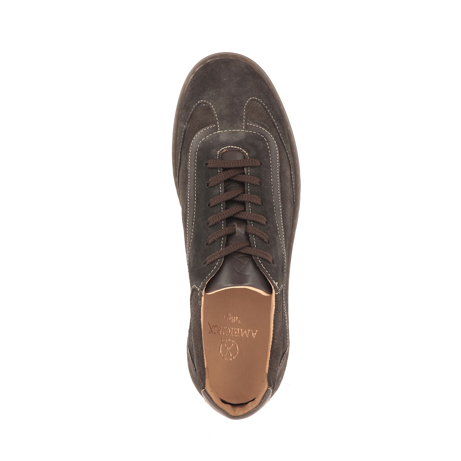 Ambiorix Syro 268677 bruin