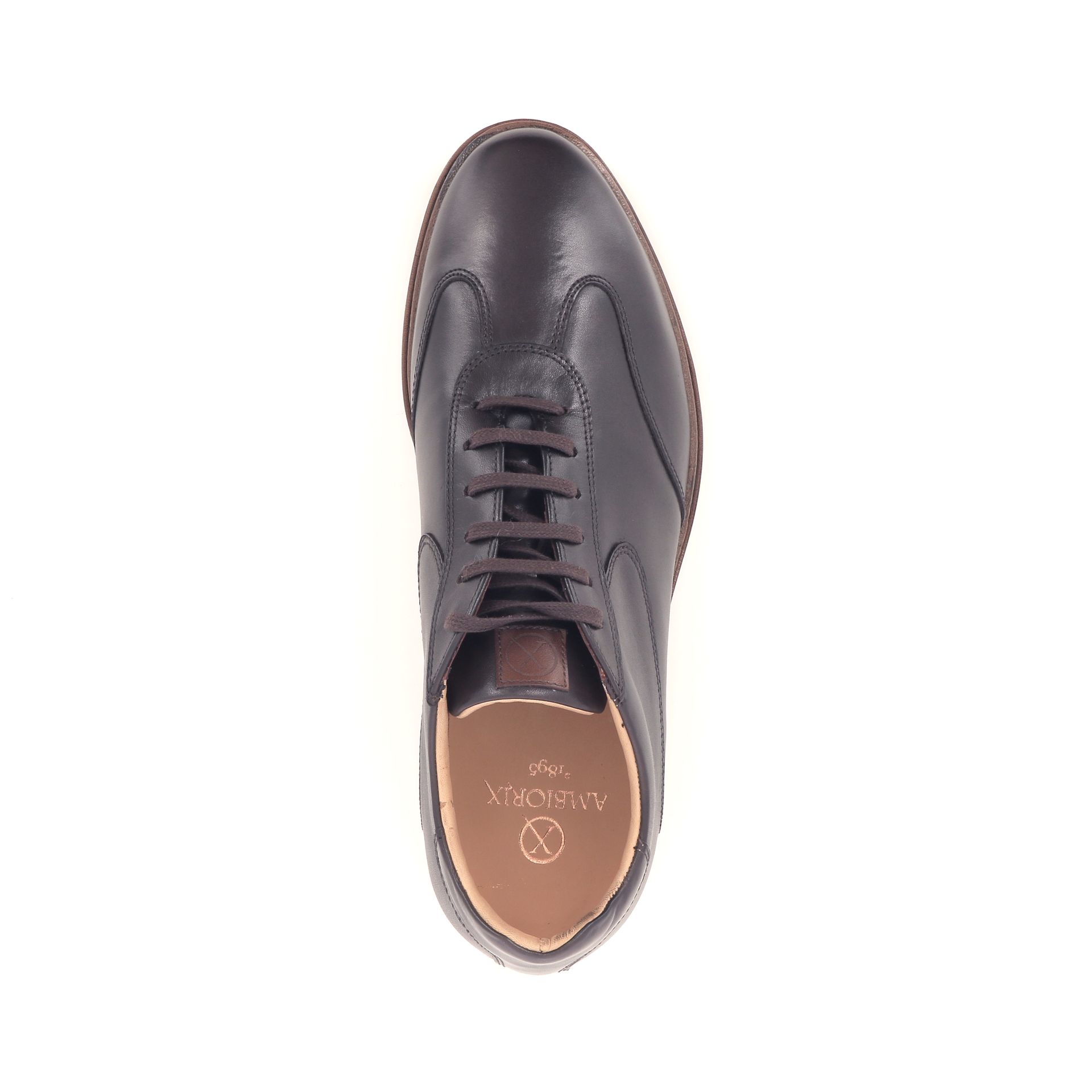 Ambiorix Paxton 268679 bruin