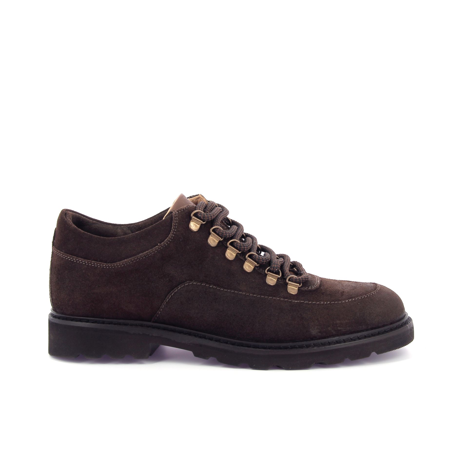 Ambiorix Peak 268680 bruin