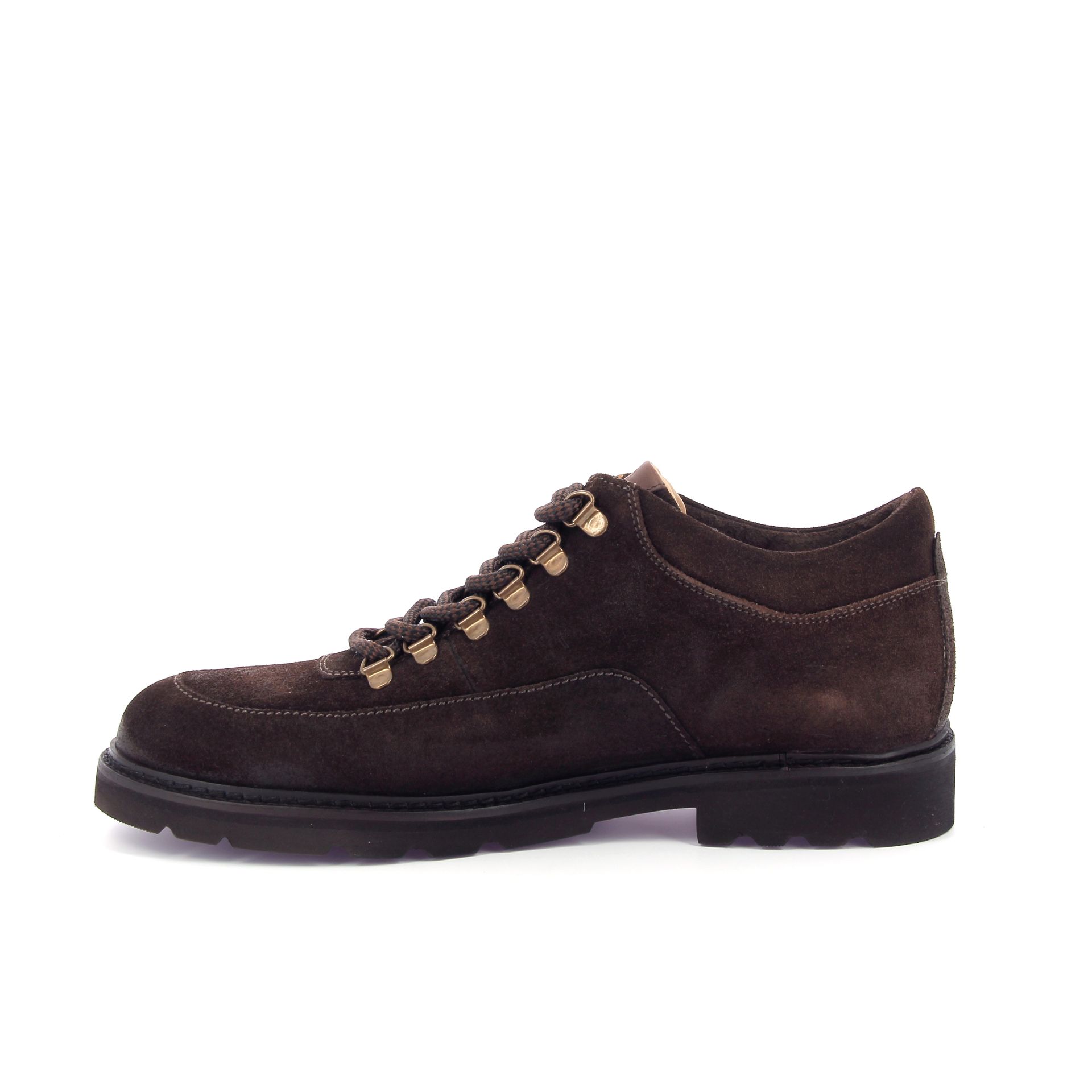 Ambiorix Peak 268680 bruin