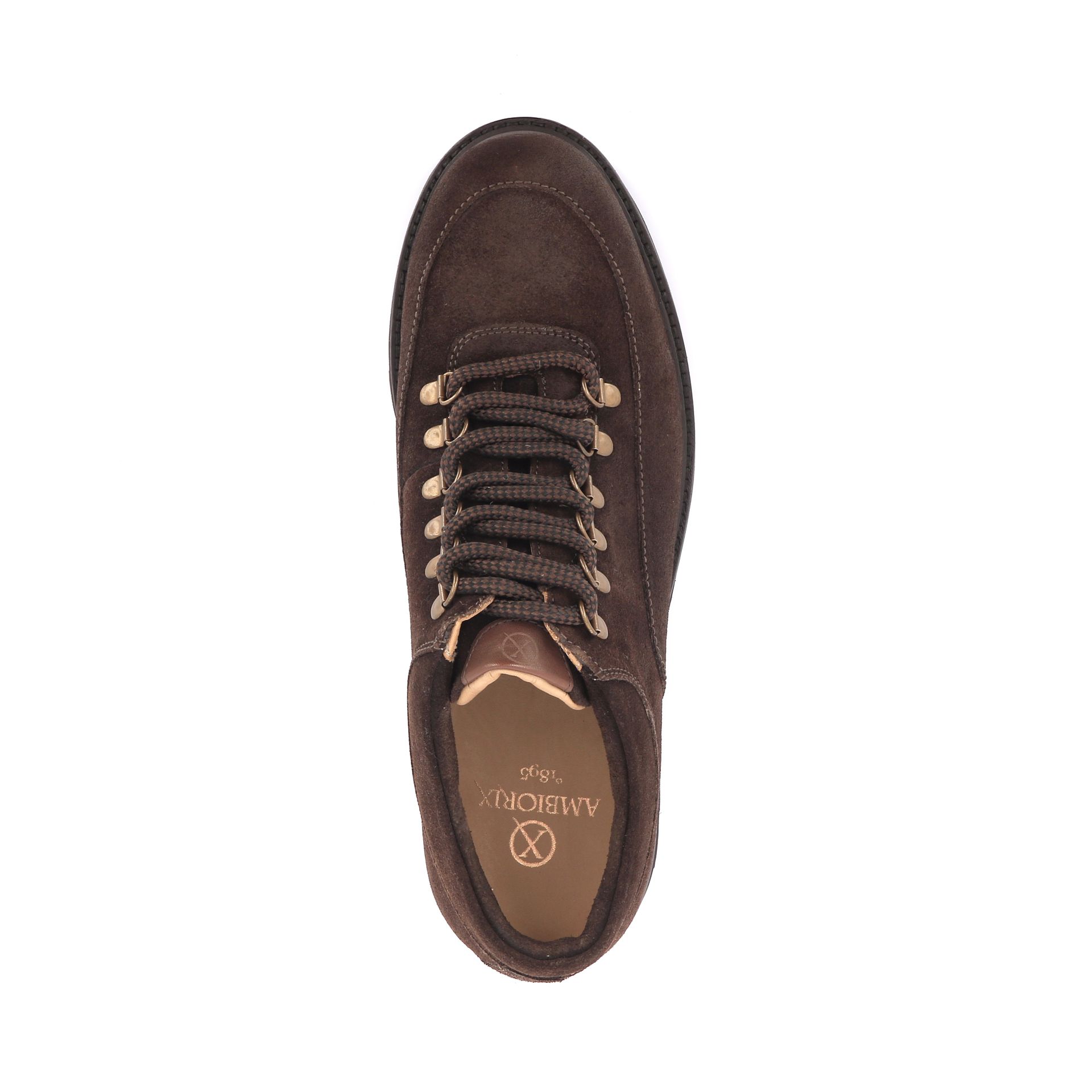 Ambiorix Peak 268680 bruin