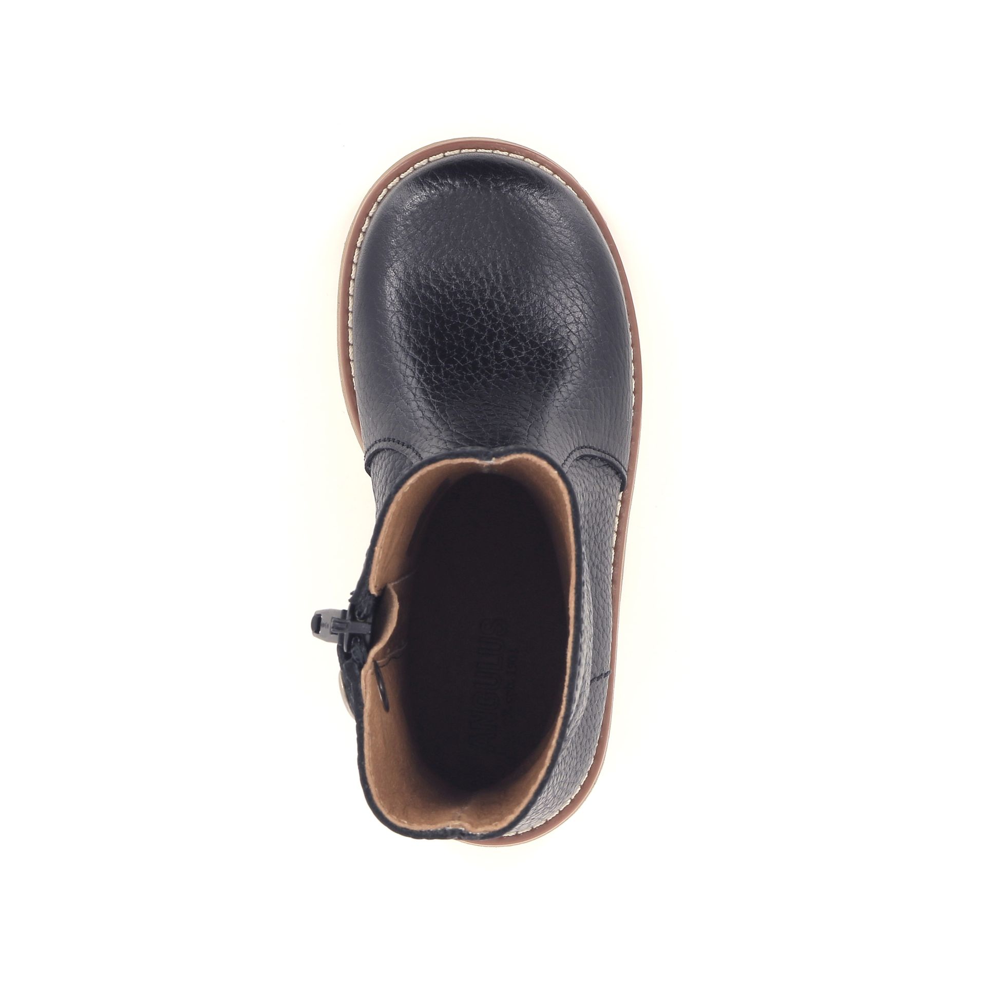 Angulus Laars 268997 zwart