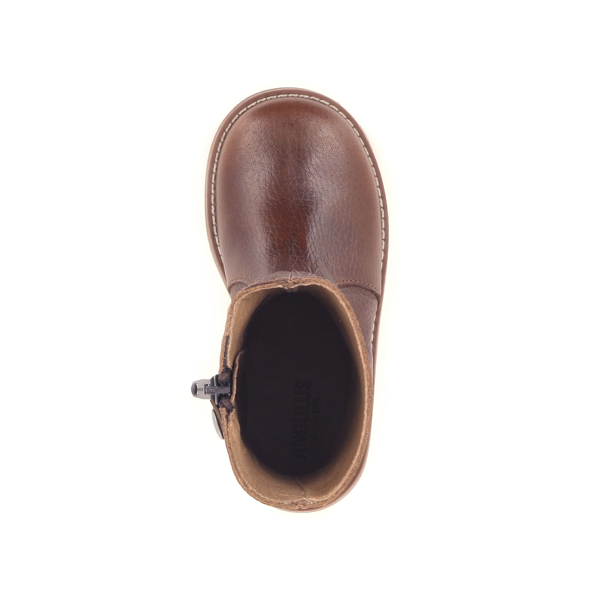 Angulus Laars 268998 cognac
